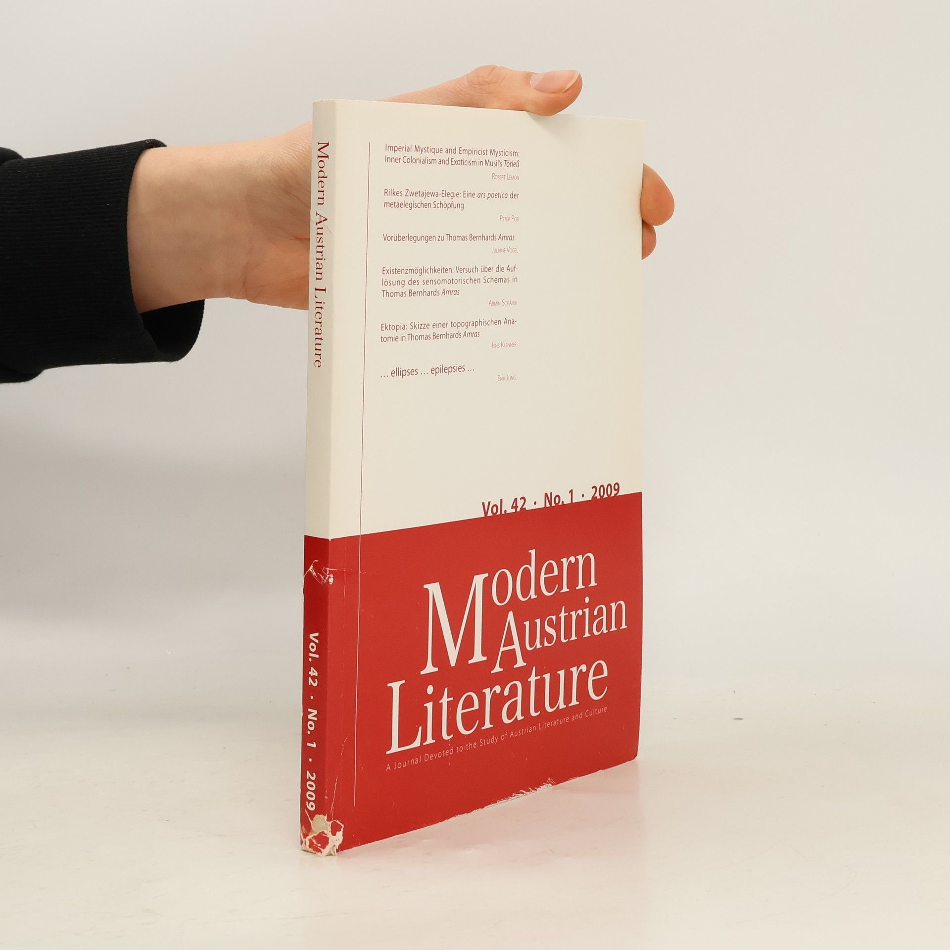 Collectif d'auteurs Modern Austrian Literature