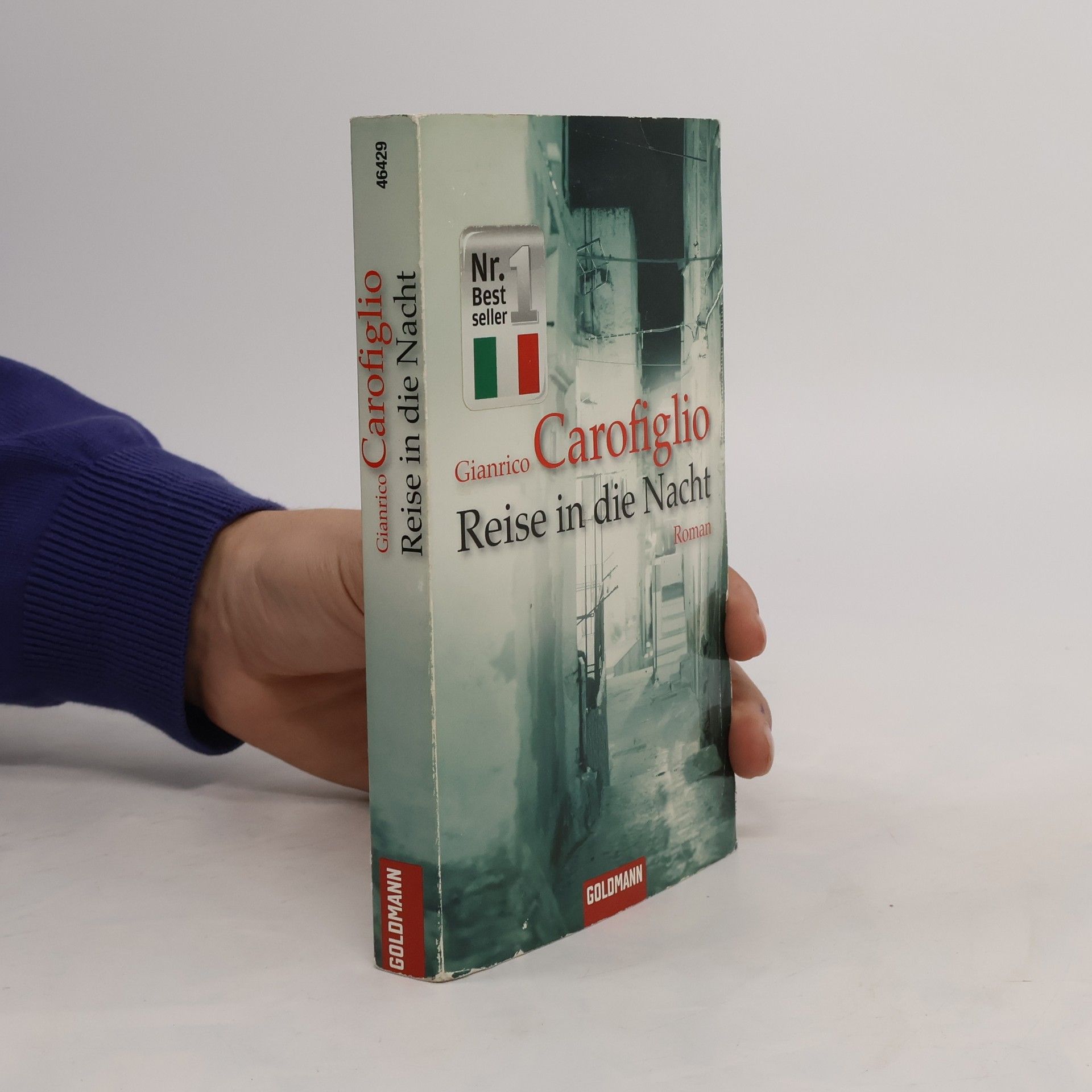 Gianrico Carofiglio Reise in die Nacht