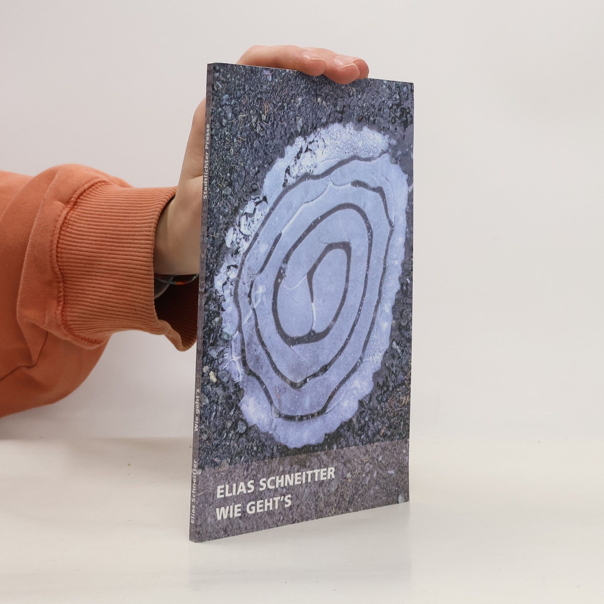 Elias Schneitter Wie geht's