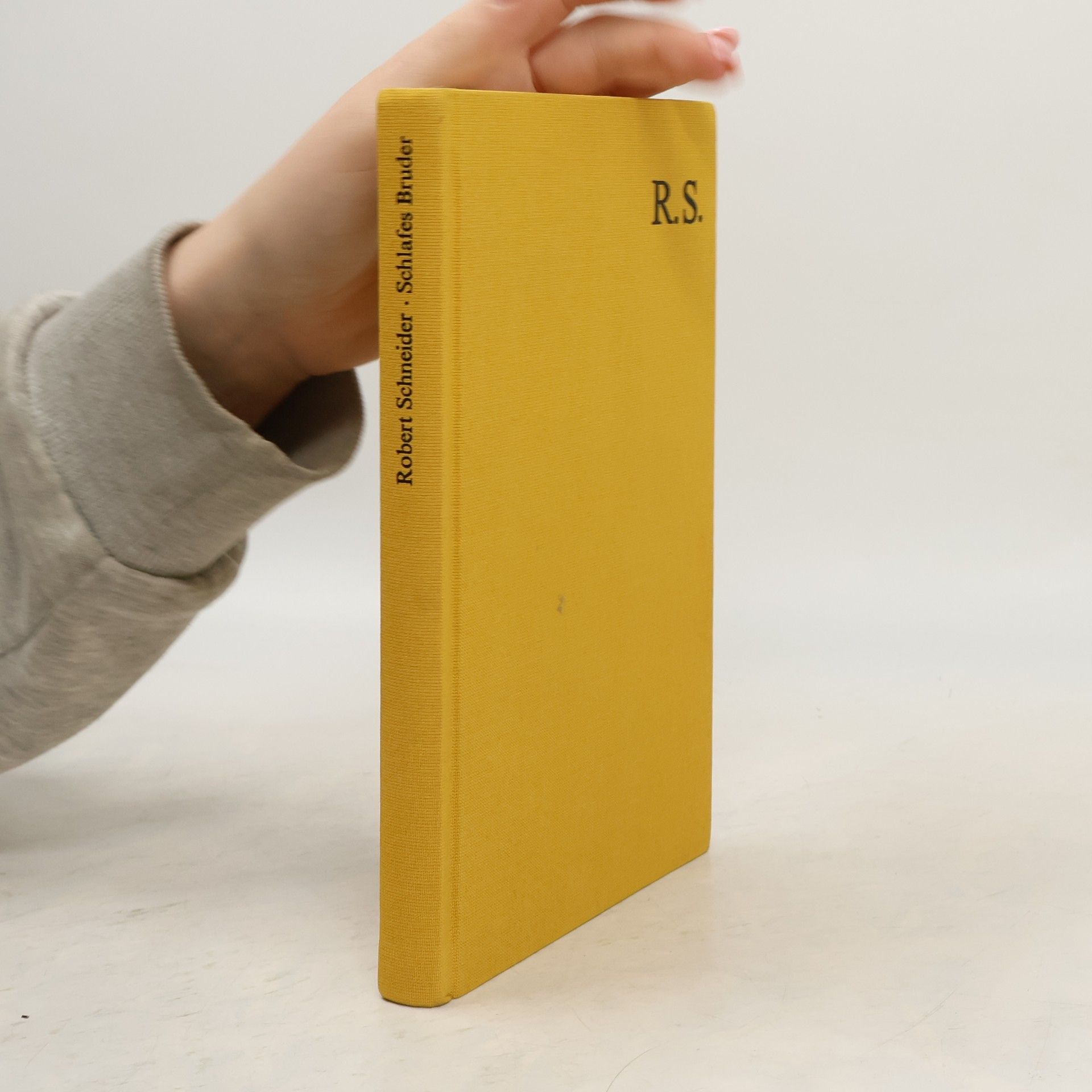 Robert Schneider Schlafes Bruder