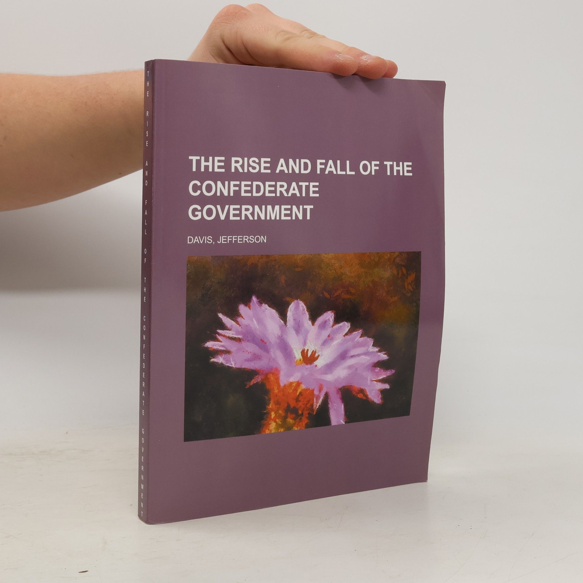 The Rise and Fall of the Confederate Government