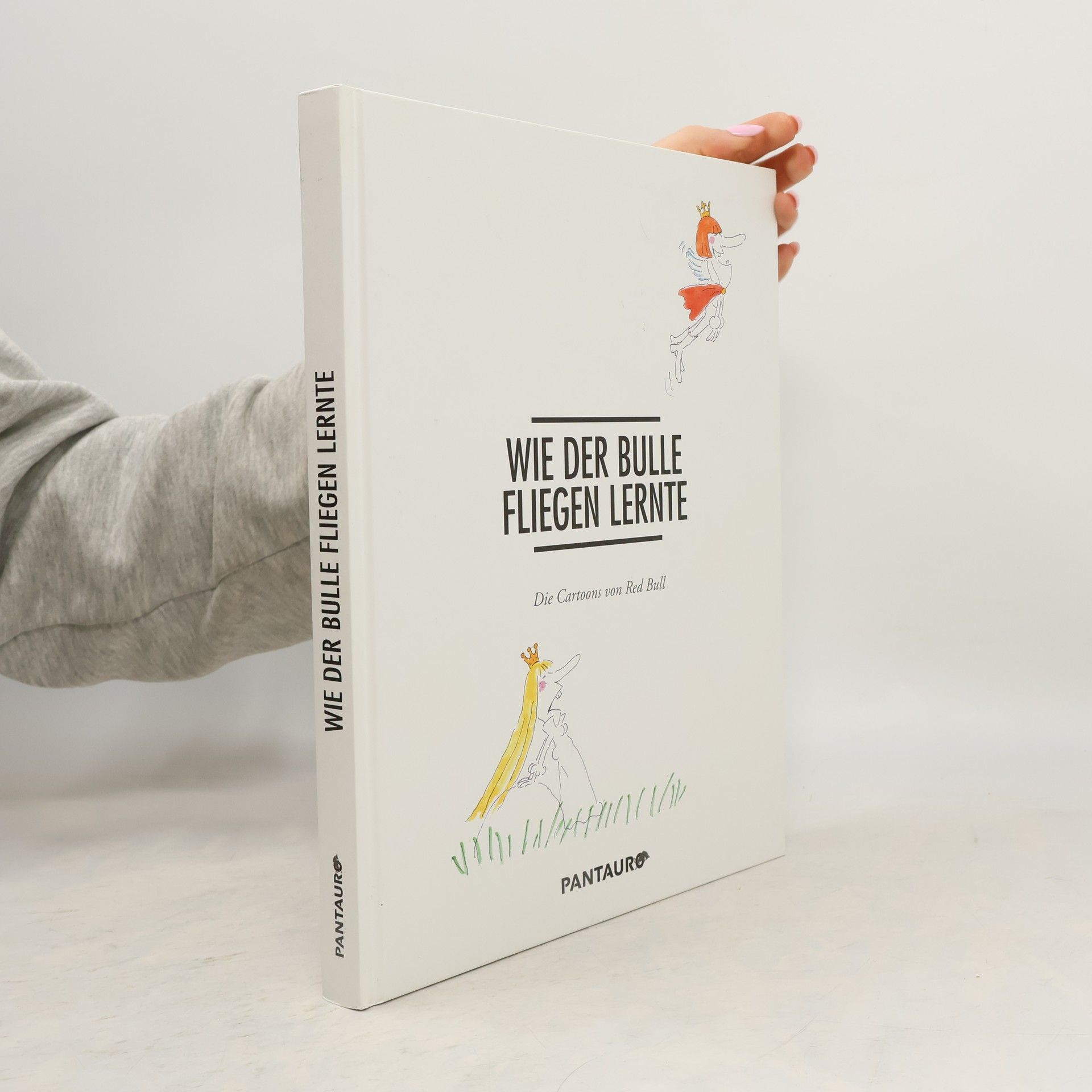 Autorenkollektiv Wie der Bulle fliegen lernte