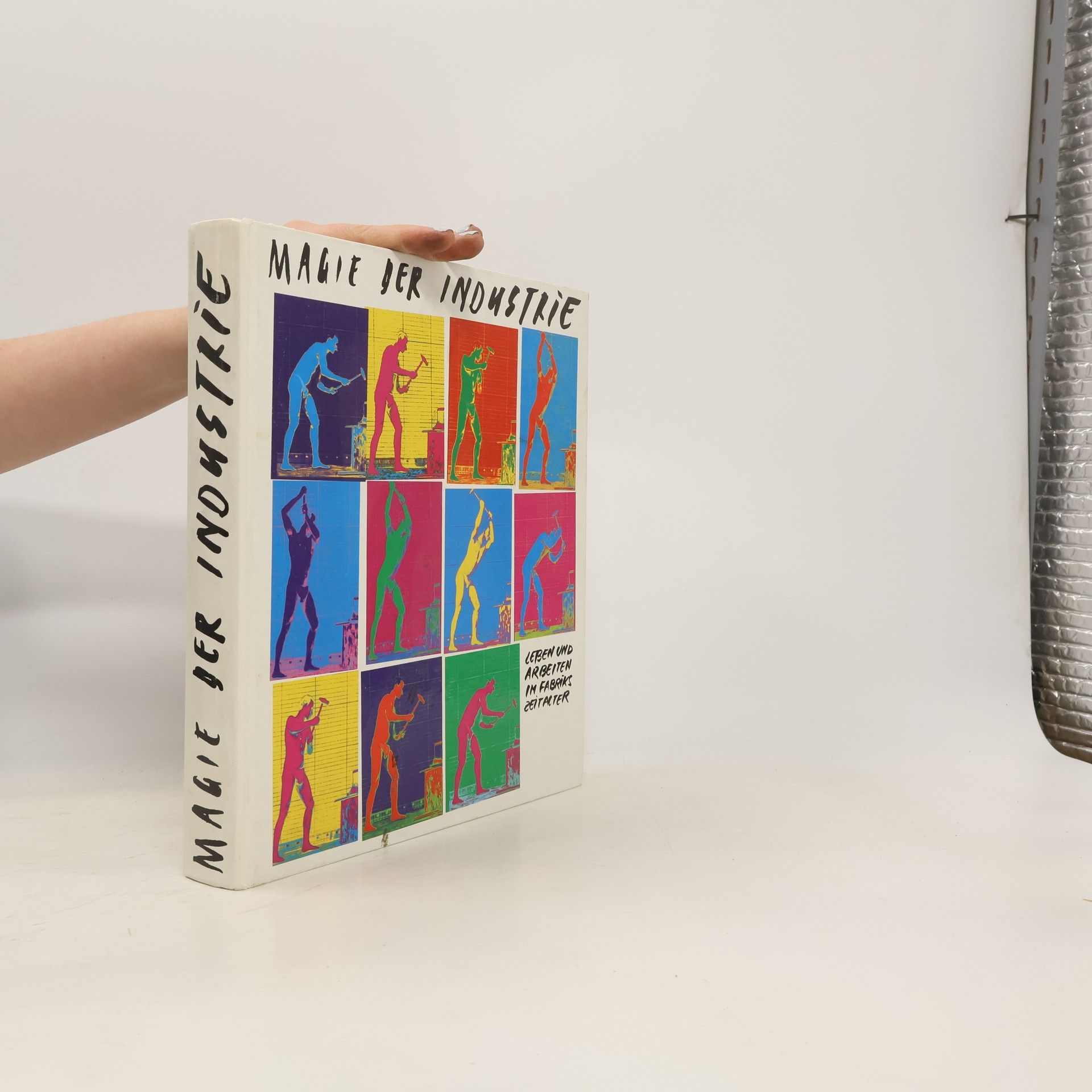 Autorenkollektiv Leben und Arbeiten im Fabrikszeitalter. Magie der Industrie