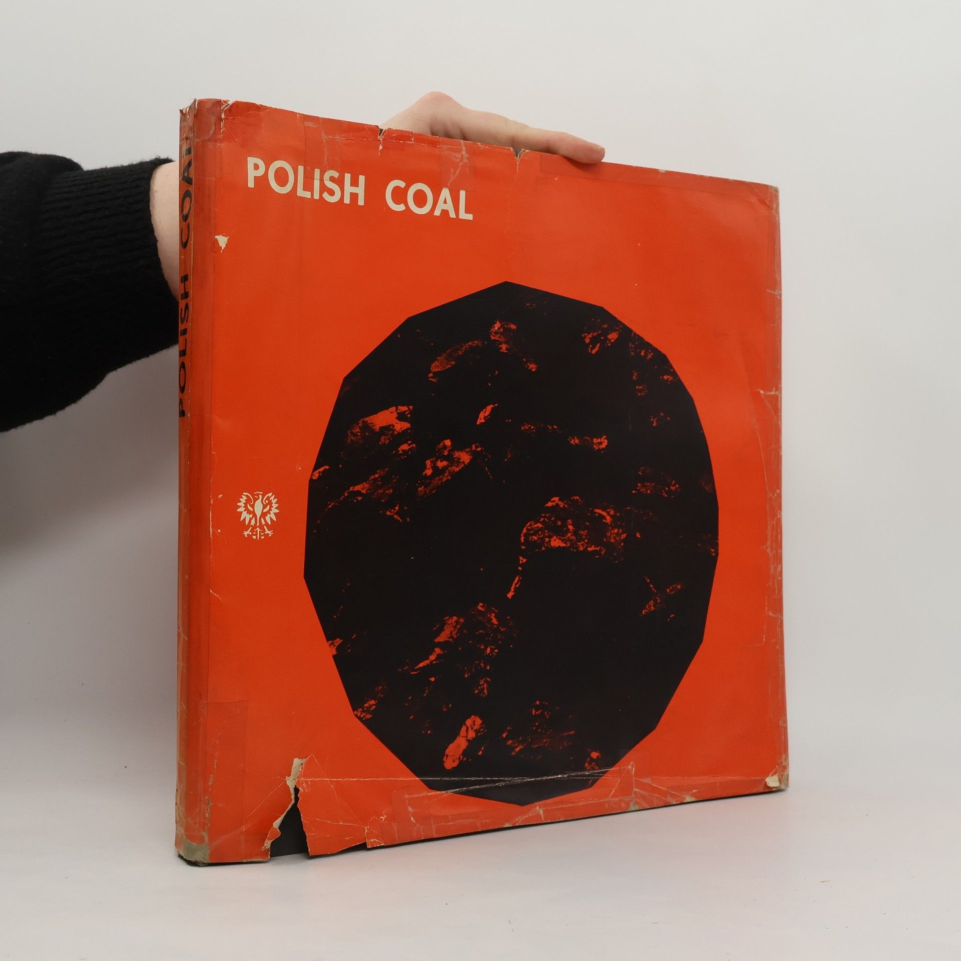 Eugeniusz Rustanowicz Polish Coal