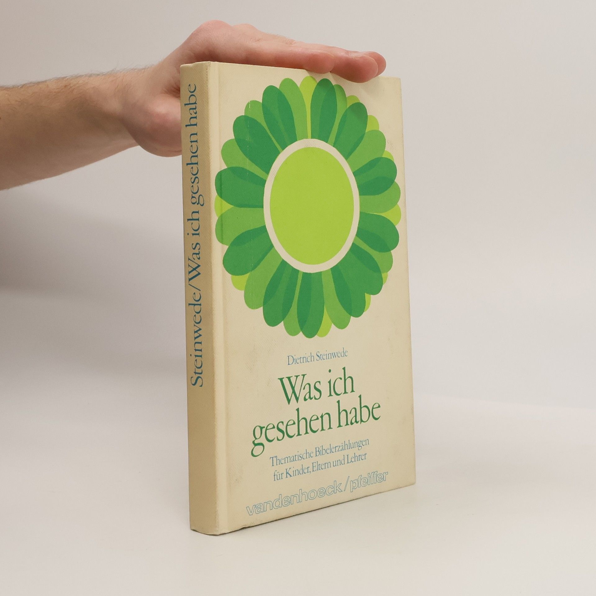 Dietrich Steinwede Was ich gesehen habe