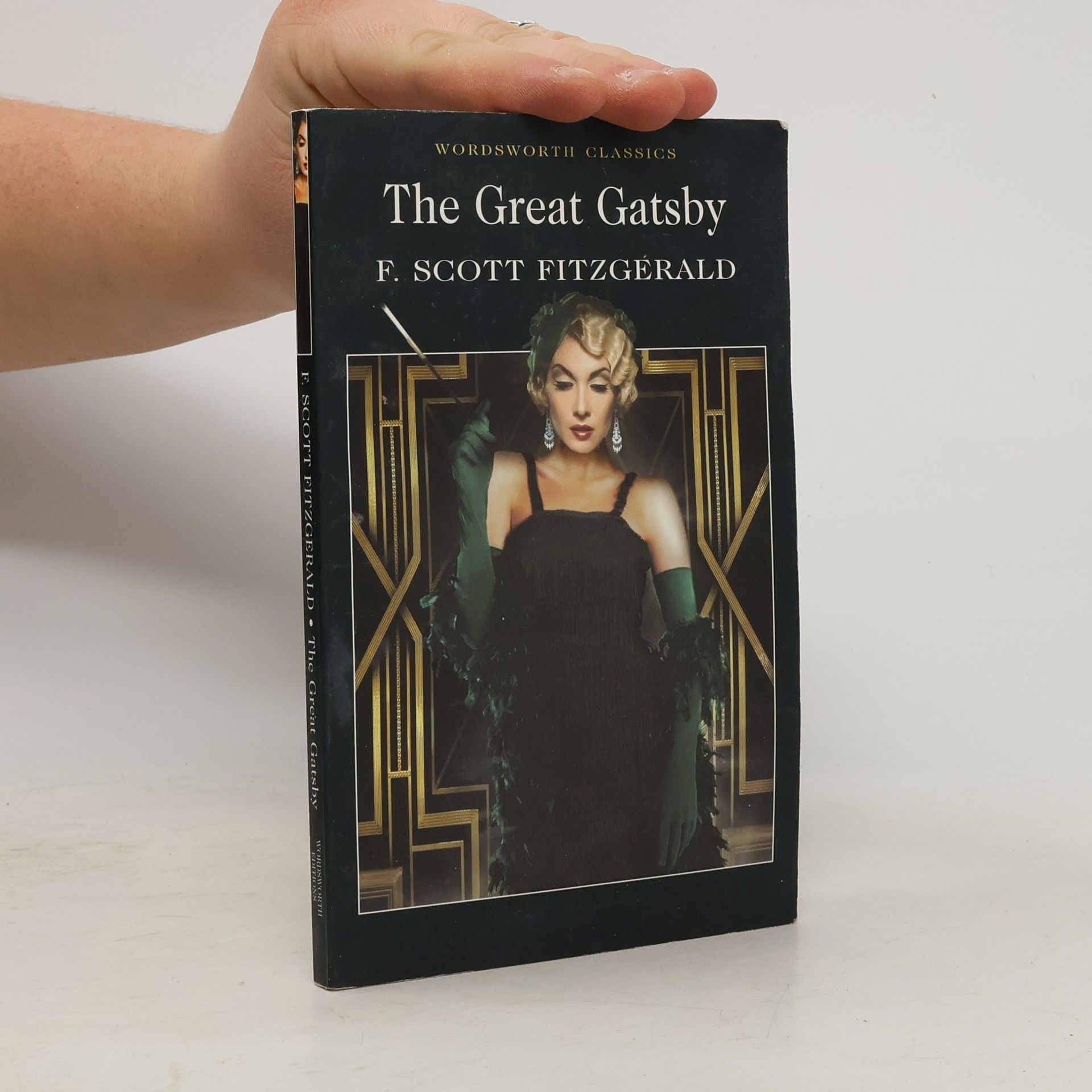 Francis Scott Fitzgerald The Great Gatsby