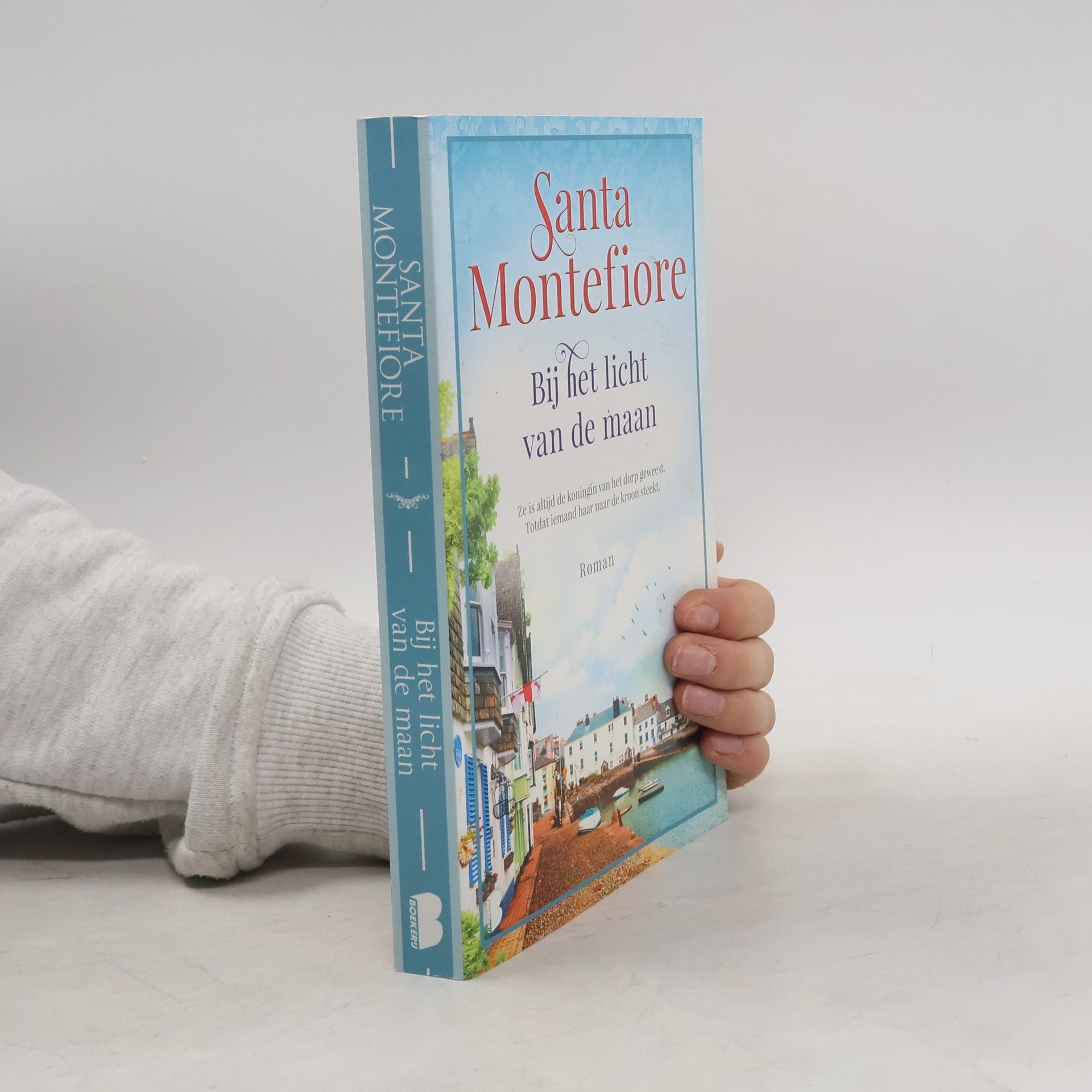 Santa Montefiore Bij het licht van de maan