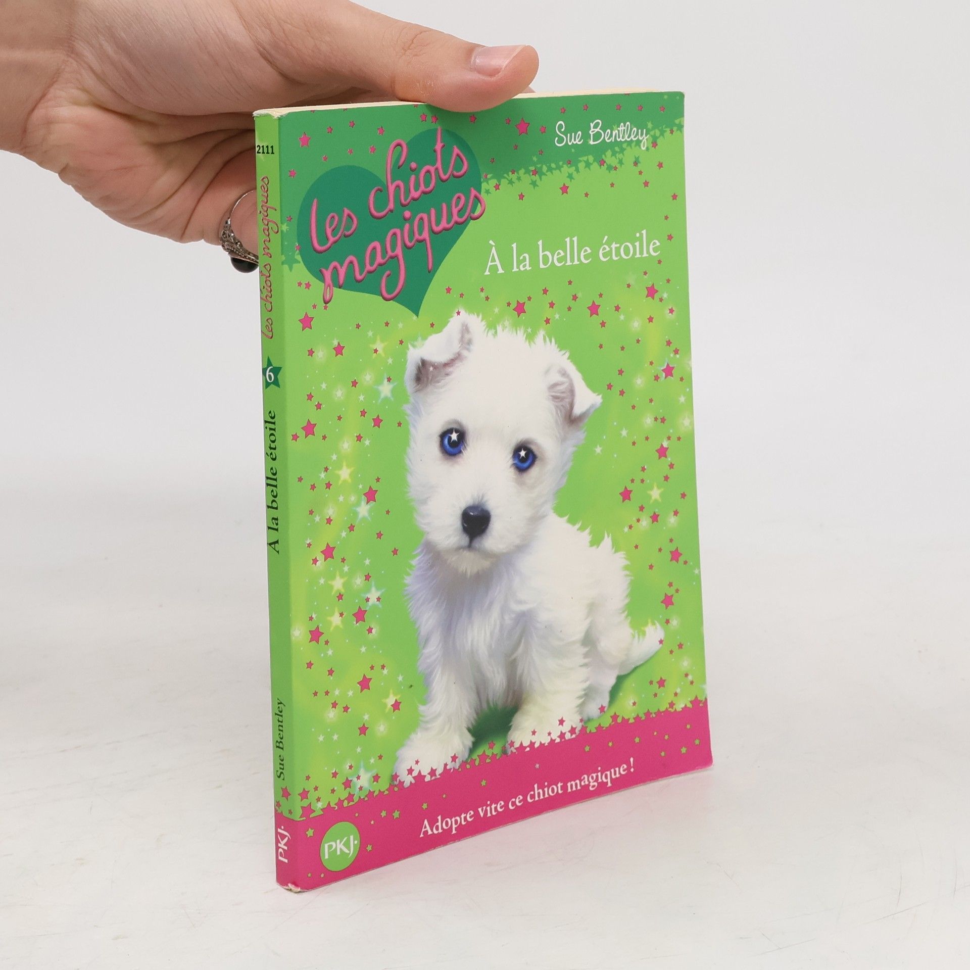 Les chiots magiques - 6: À la belle étoile