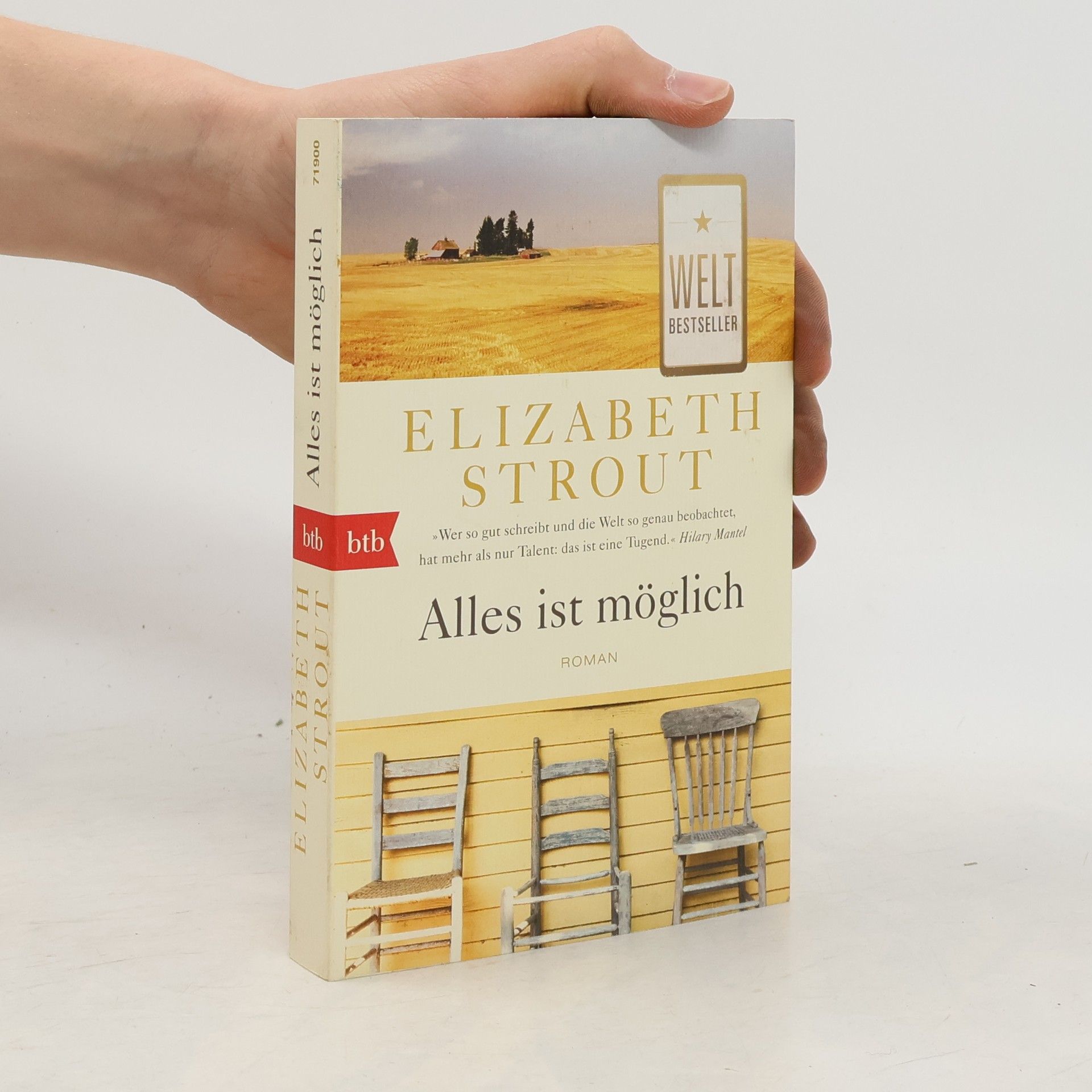 Elizabeth Strout Alles ist möglich