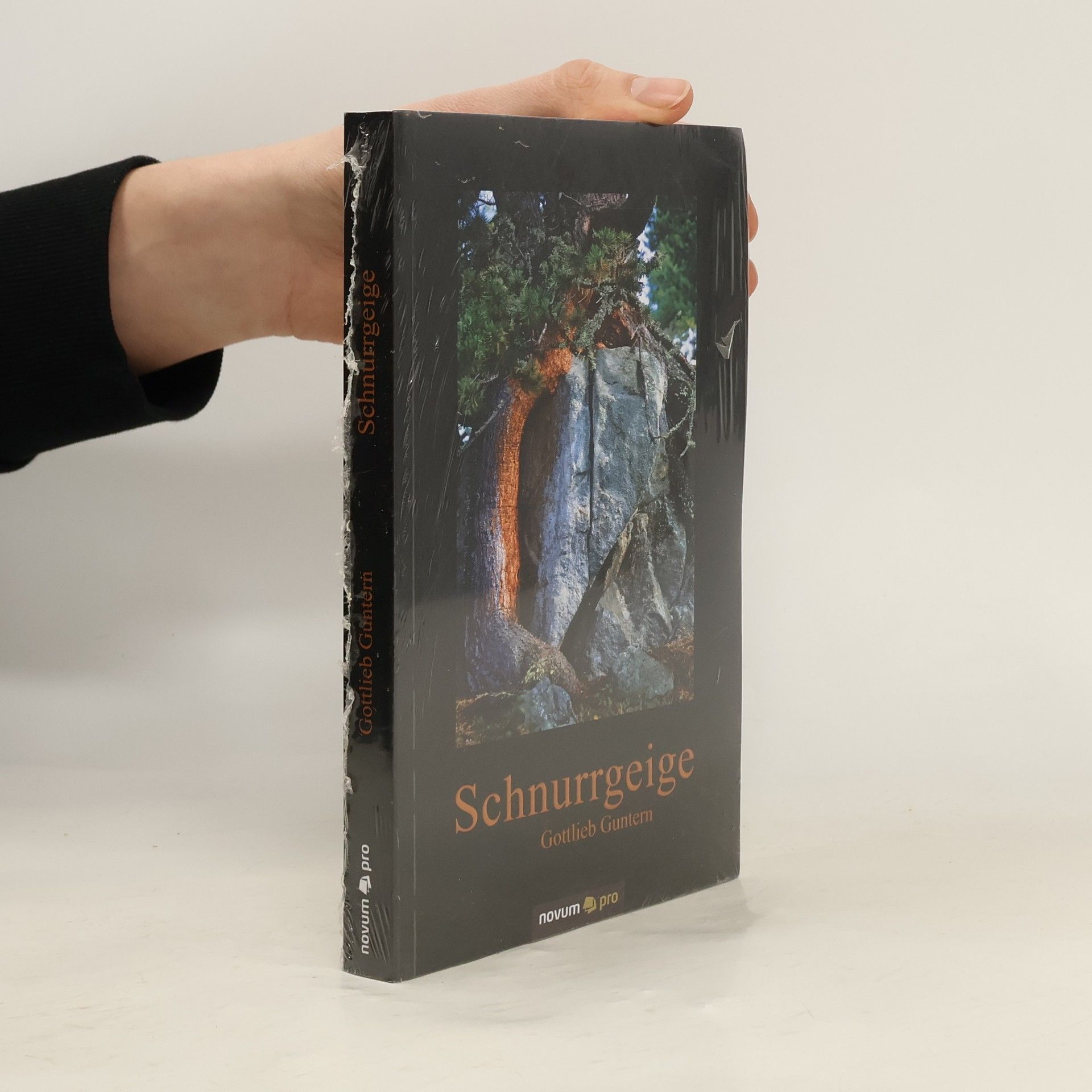 Gottlieb Guntern Schnurrgeige