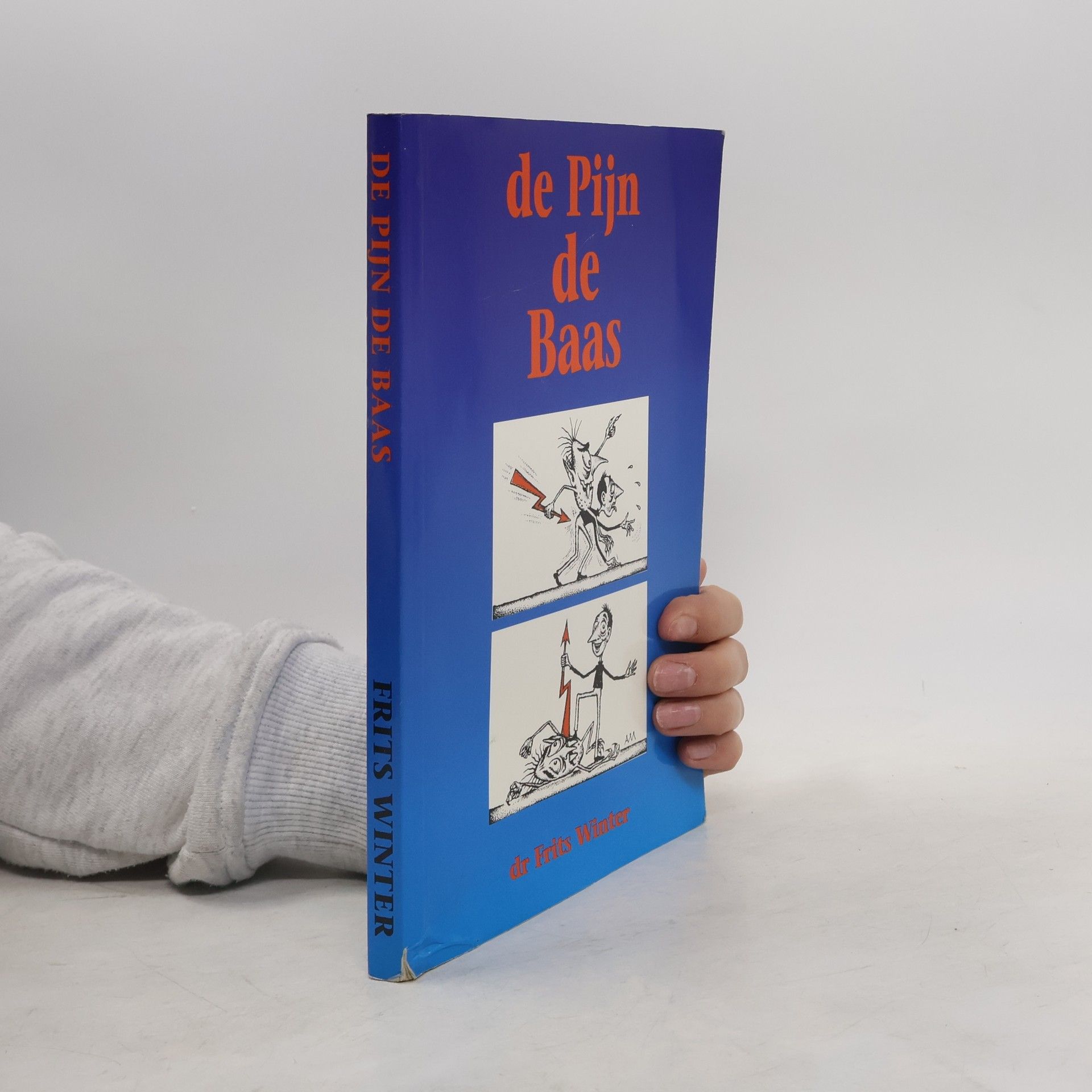 Frederikus Antonius Marie Winter De pijn de baas