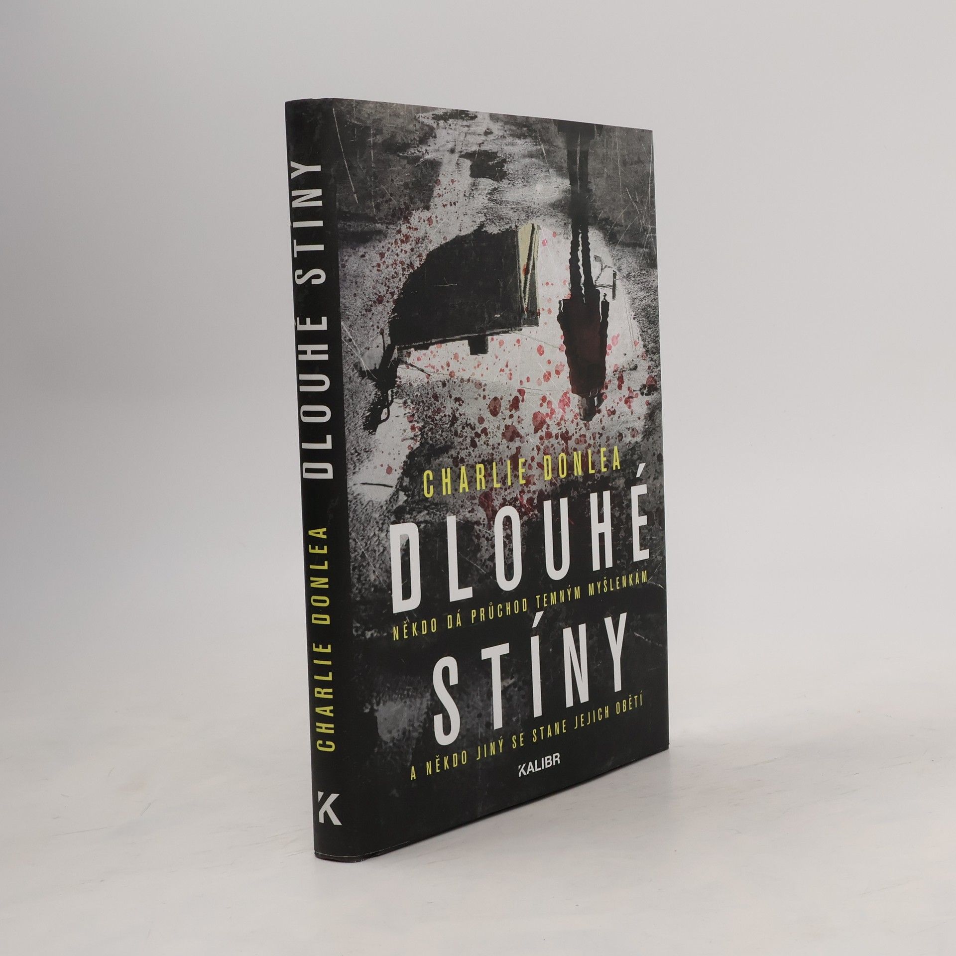 Charlie Donlea Dlouhé stíny