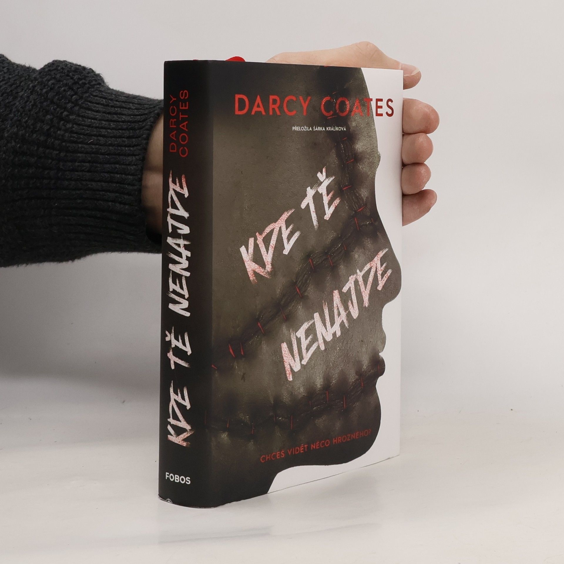 Darcy Coates Kde tě nenajde