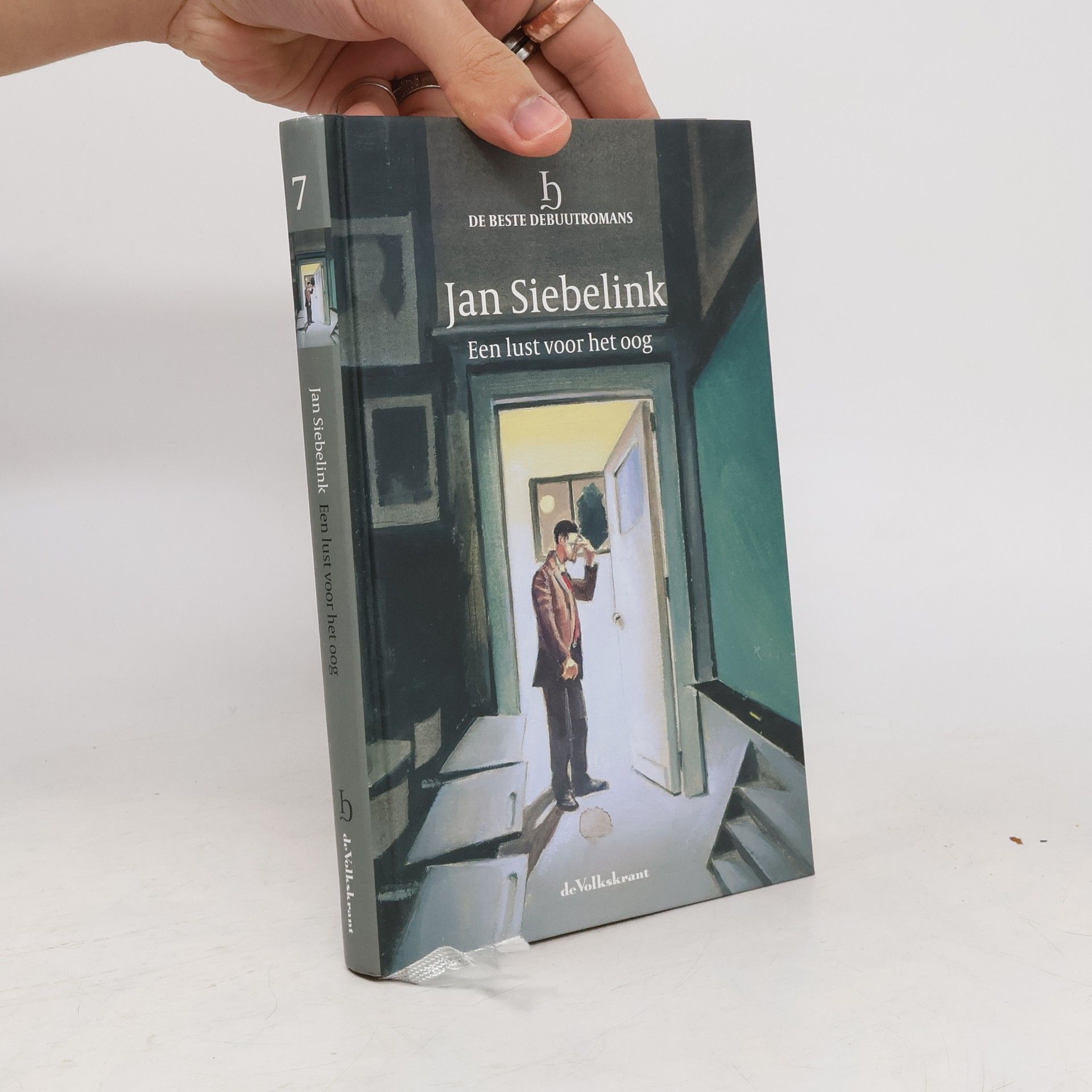 Jan Siebelink Een lust voor het oog