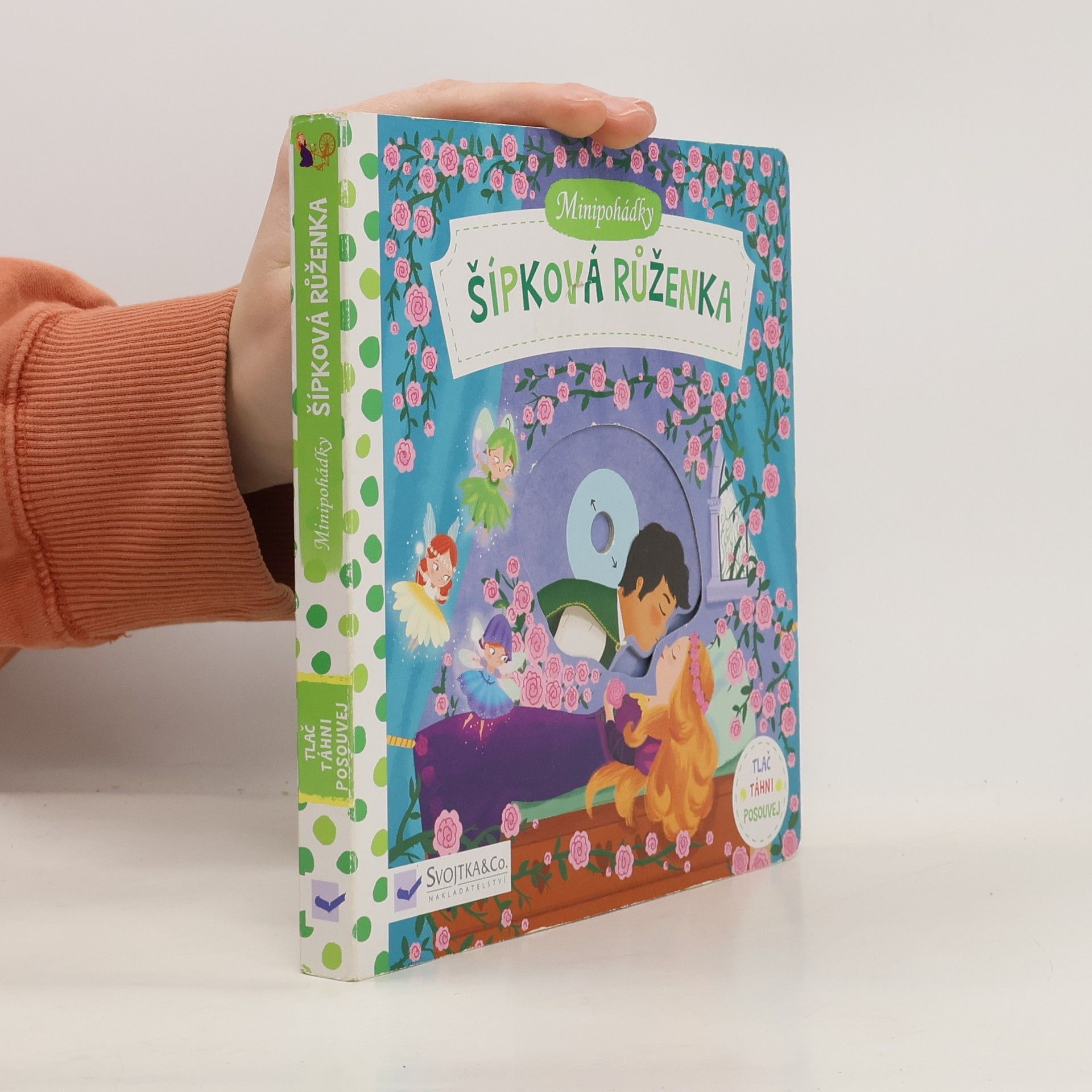 Dan Taylor Minipohádky: Šípková Ruženka