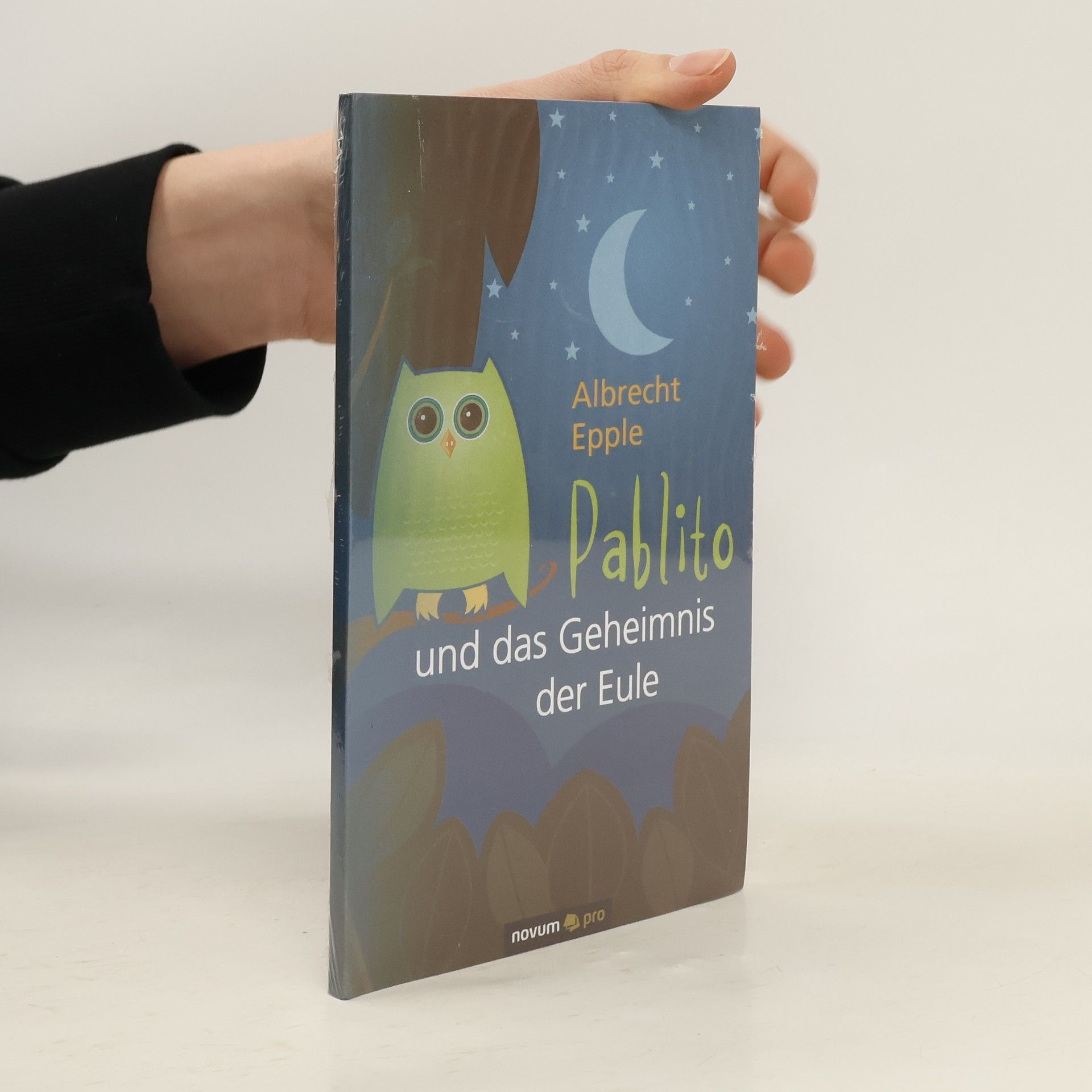 Albrecht Epple Pablito und das Geheimnis der Eule