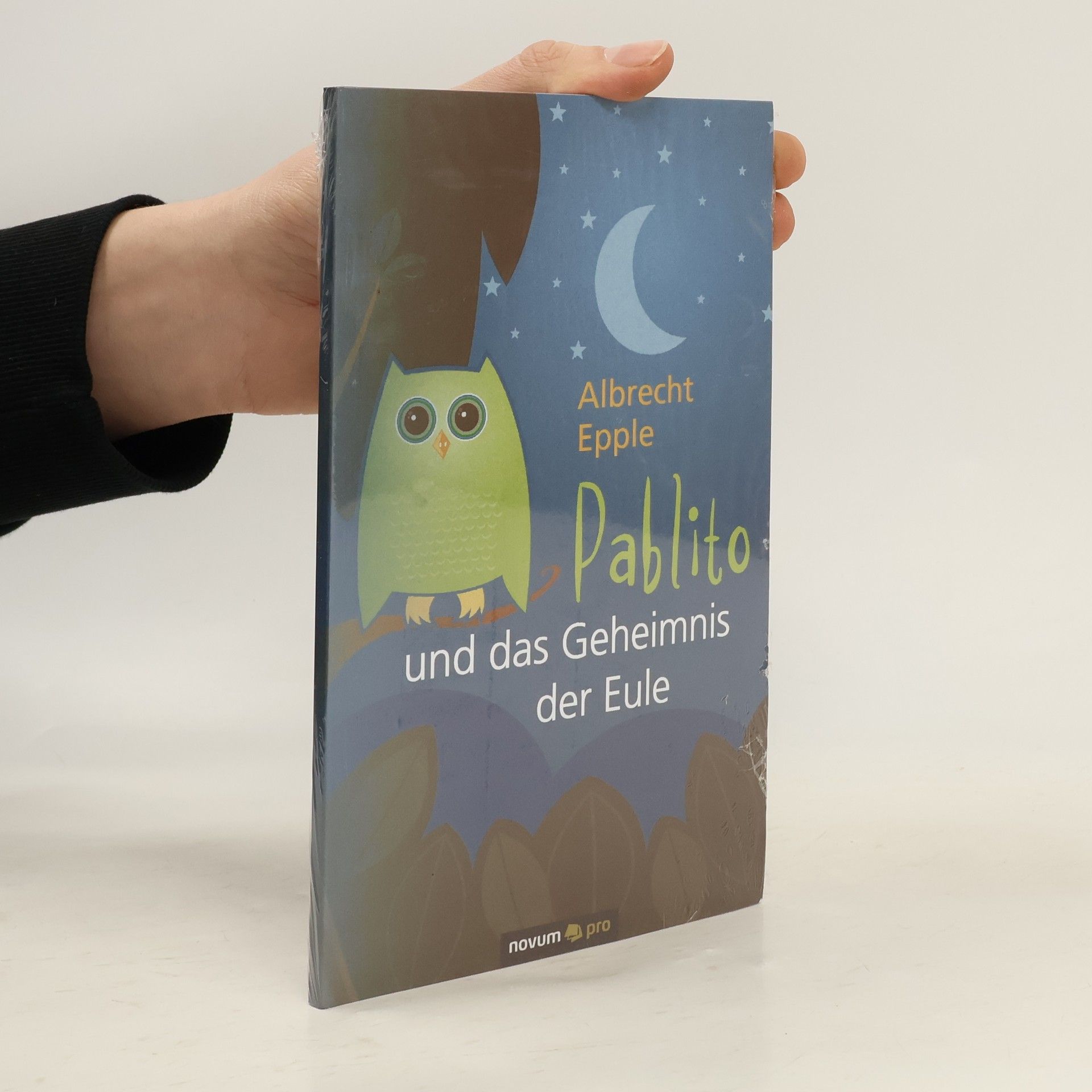Albrecht Epple Pablito und das Geheimnis der Eule