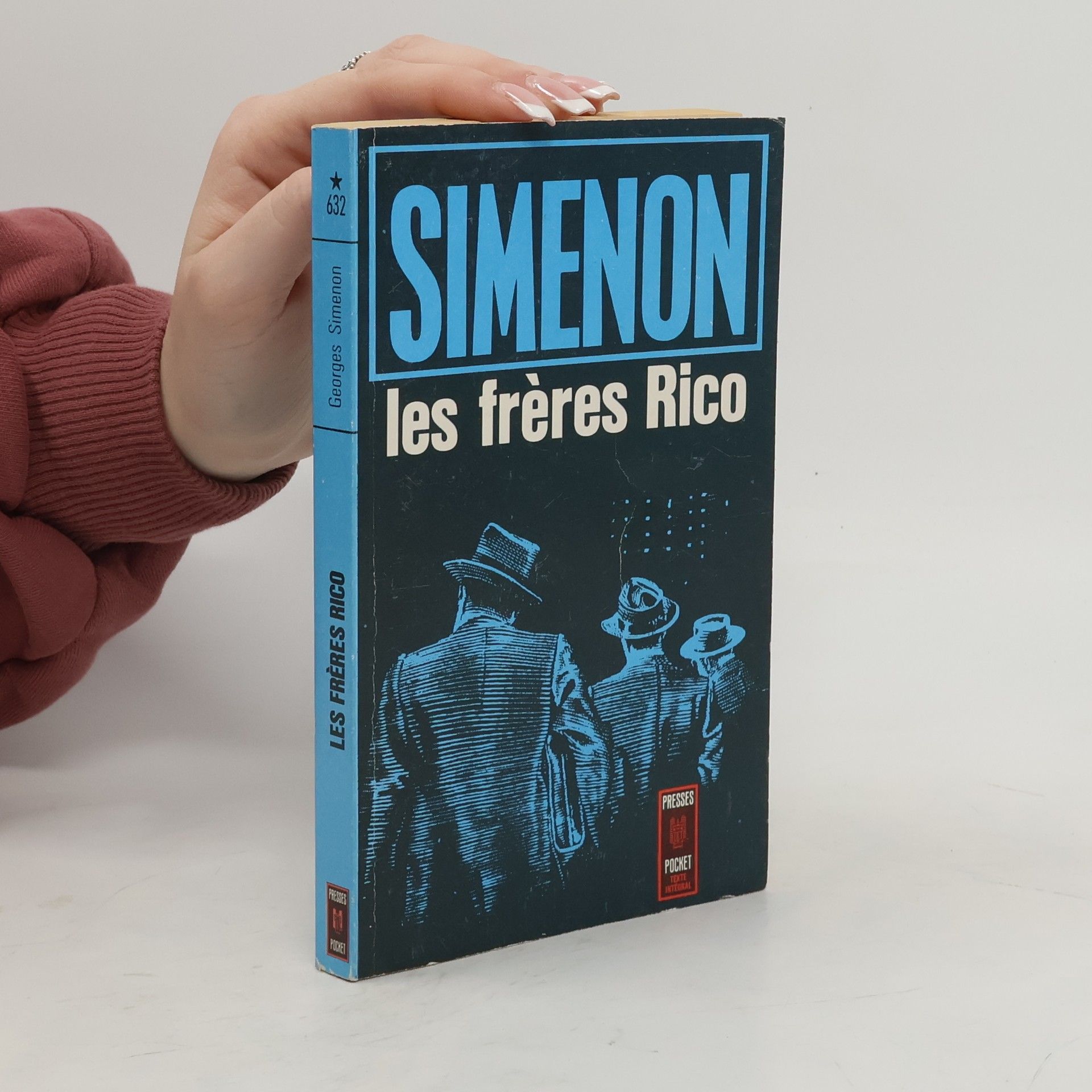 Georges Simenon Les frères Rico