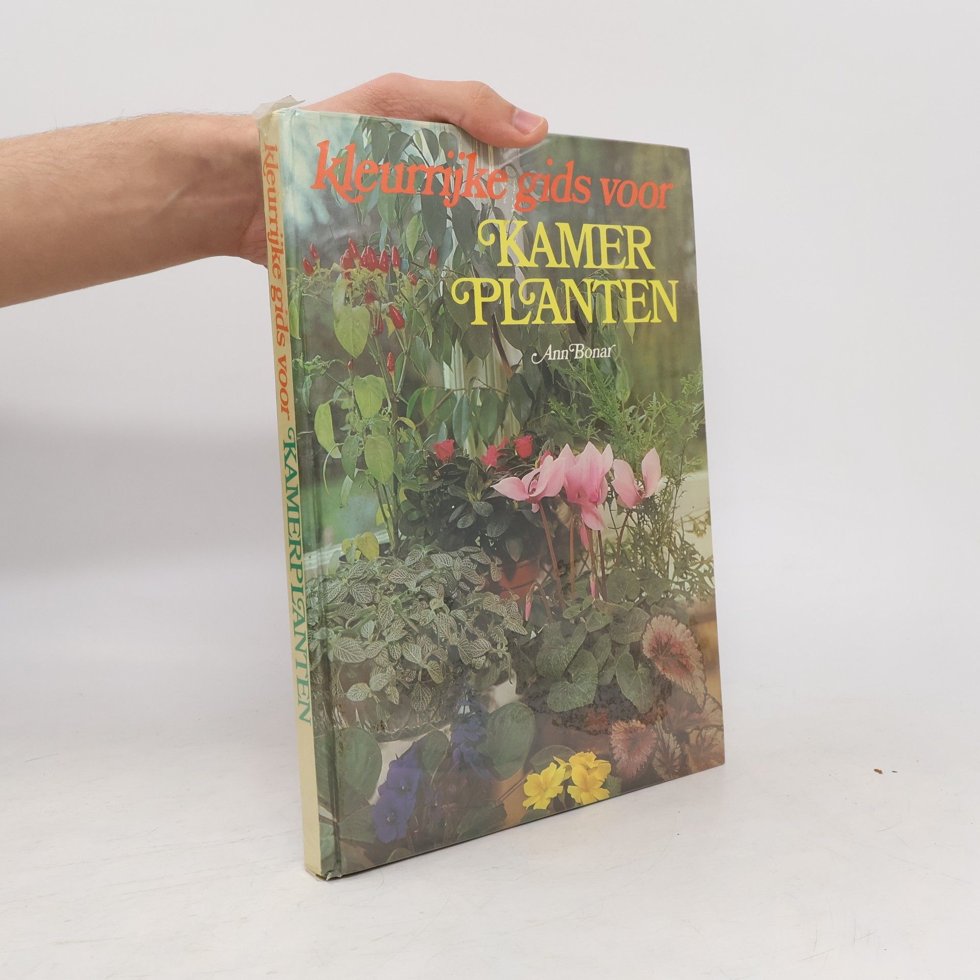 Ann Bonar Kleurrijke gids voor kamer planten