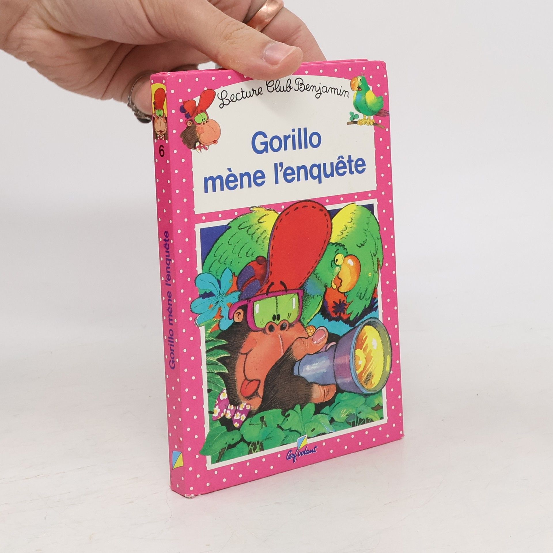 Ann Rocard Gorillo mène l'enquête