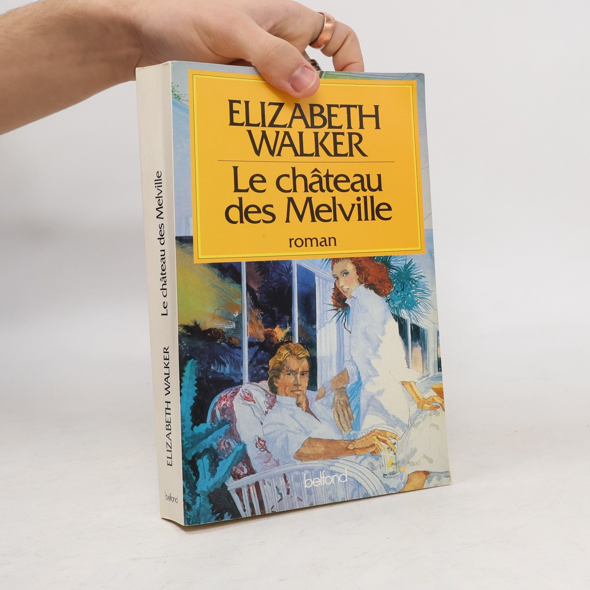 Elizabeth Walker Le château des Melville