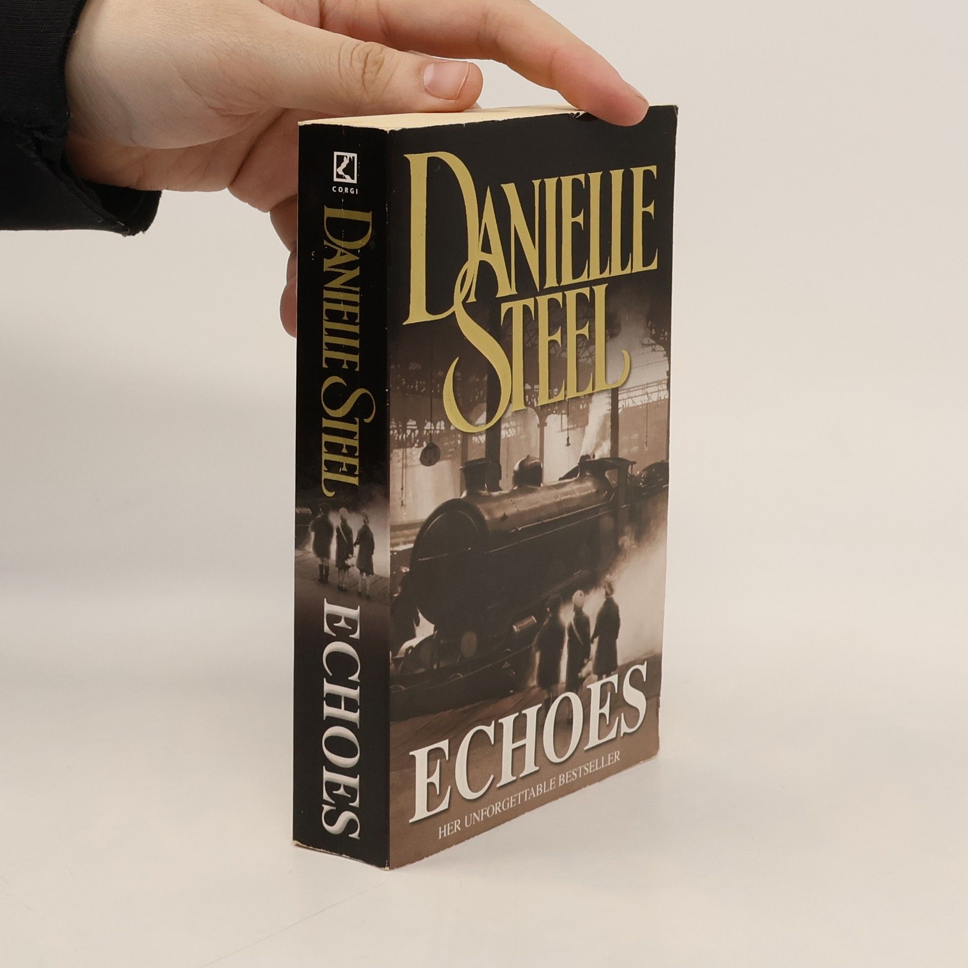 Danielle Steel Echoes
