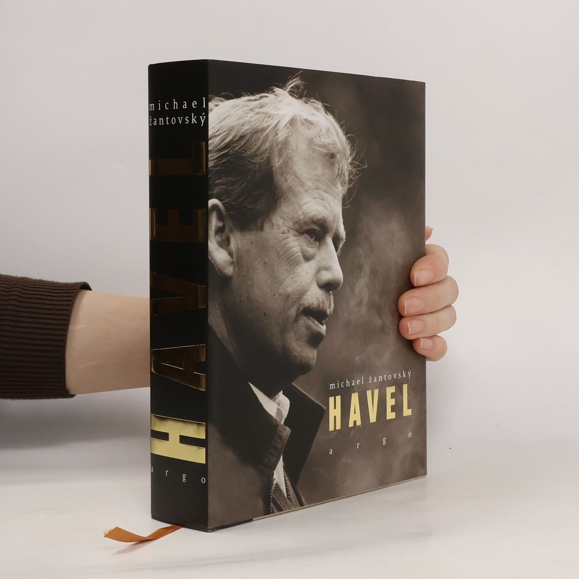 Michael Žantovský Havel