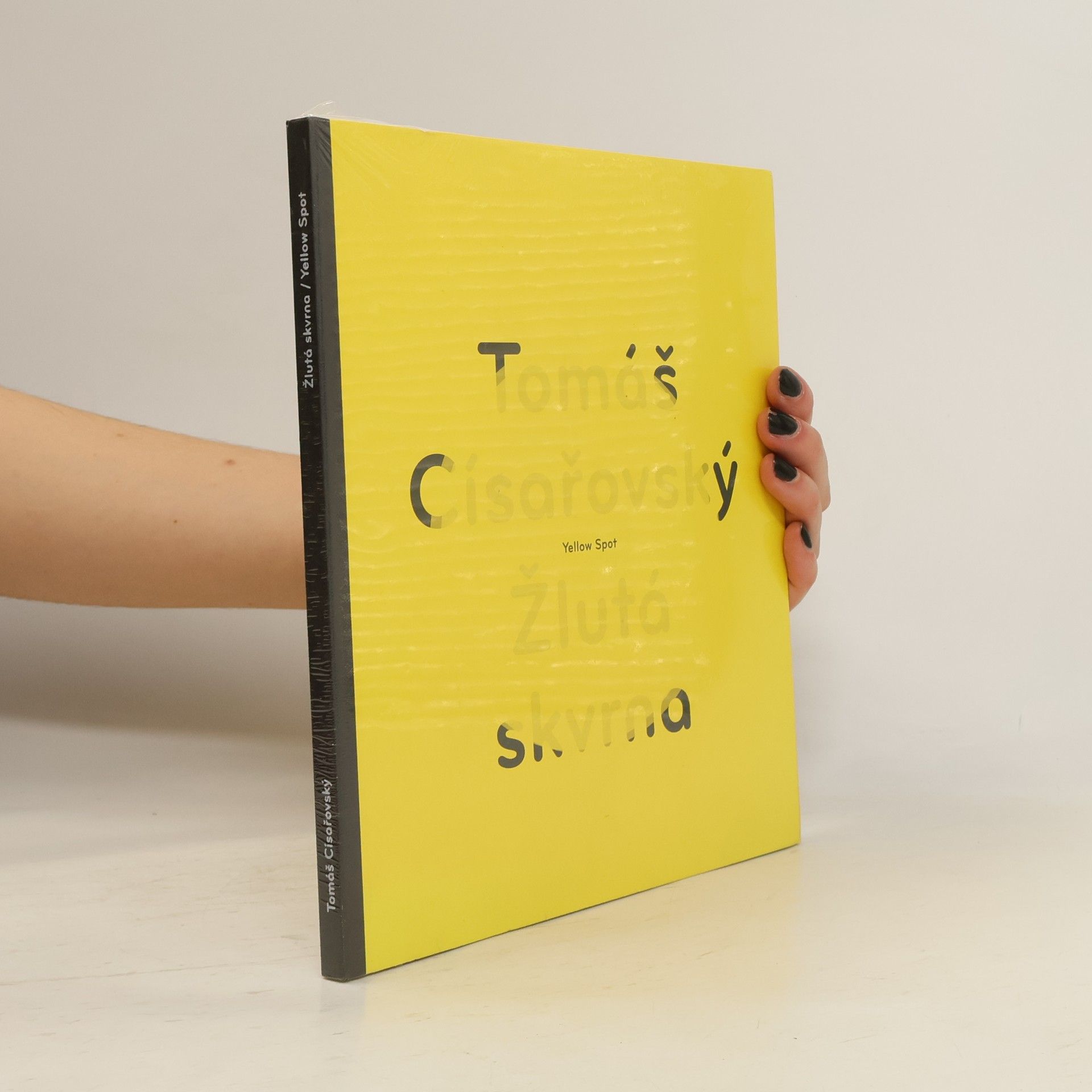 Tomáš Císařovský Žlutá skvrna / Yellow spot