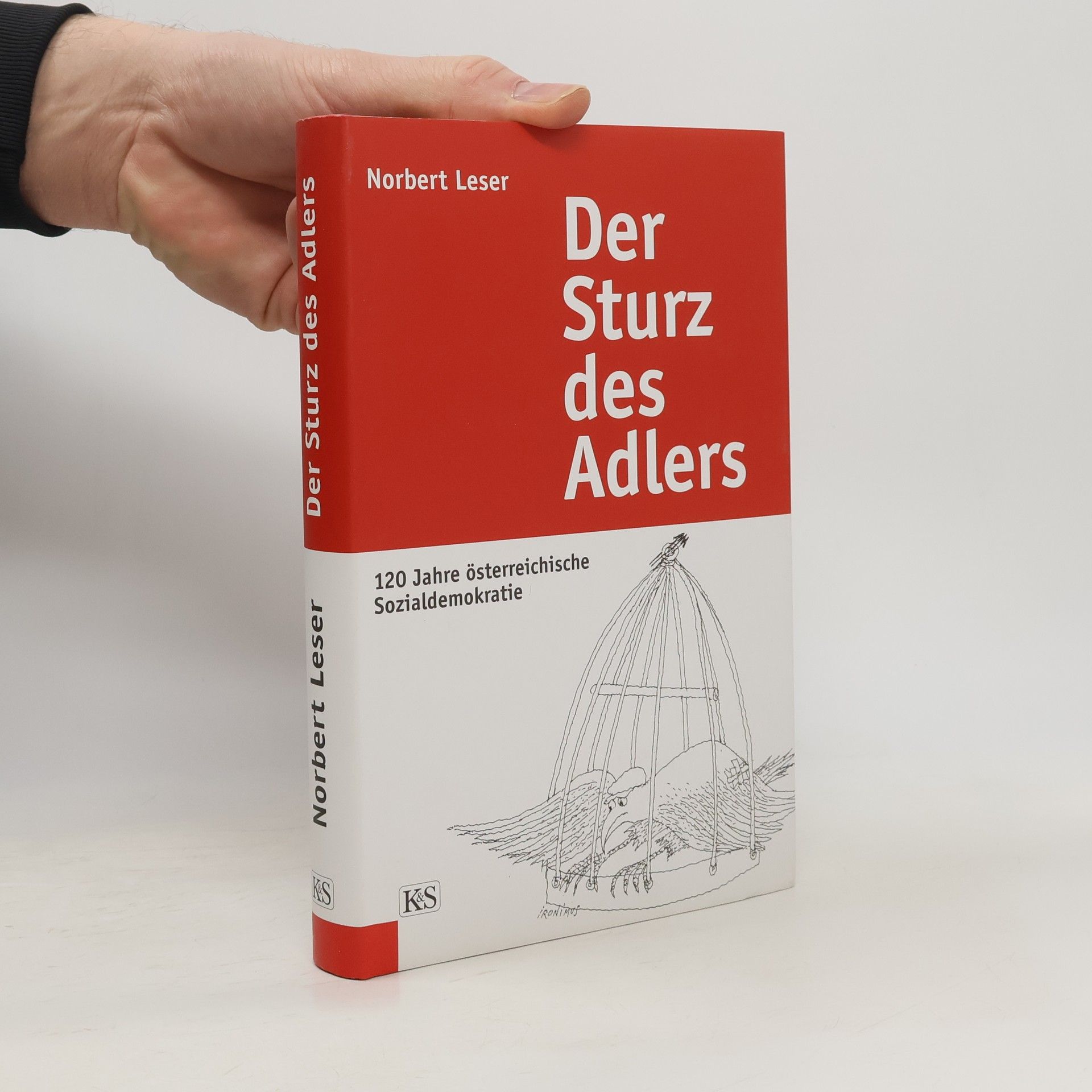 Der Sturz des Adlers
