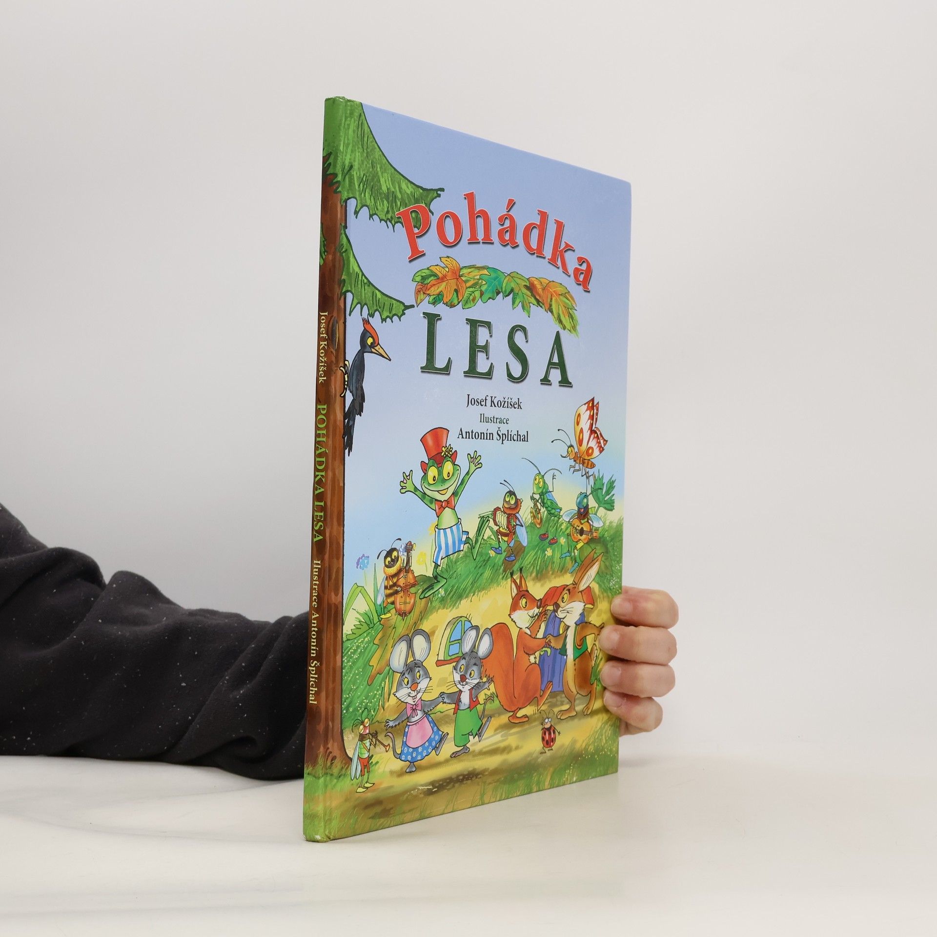 Josef Kožíšek Pohádka lesa