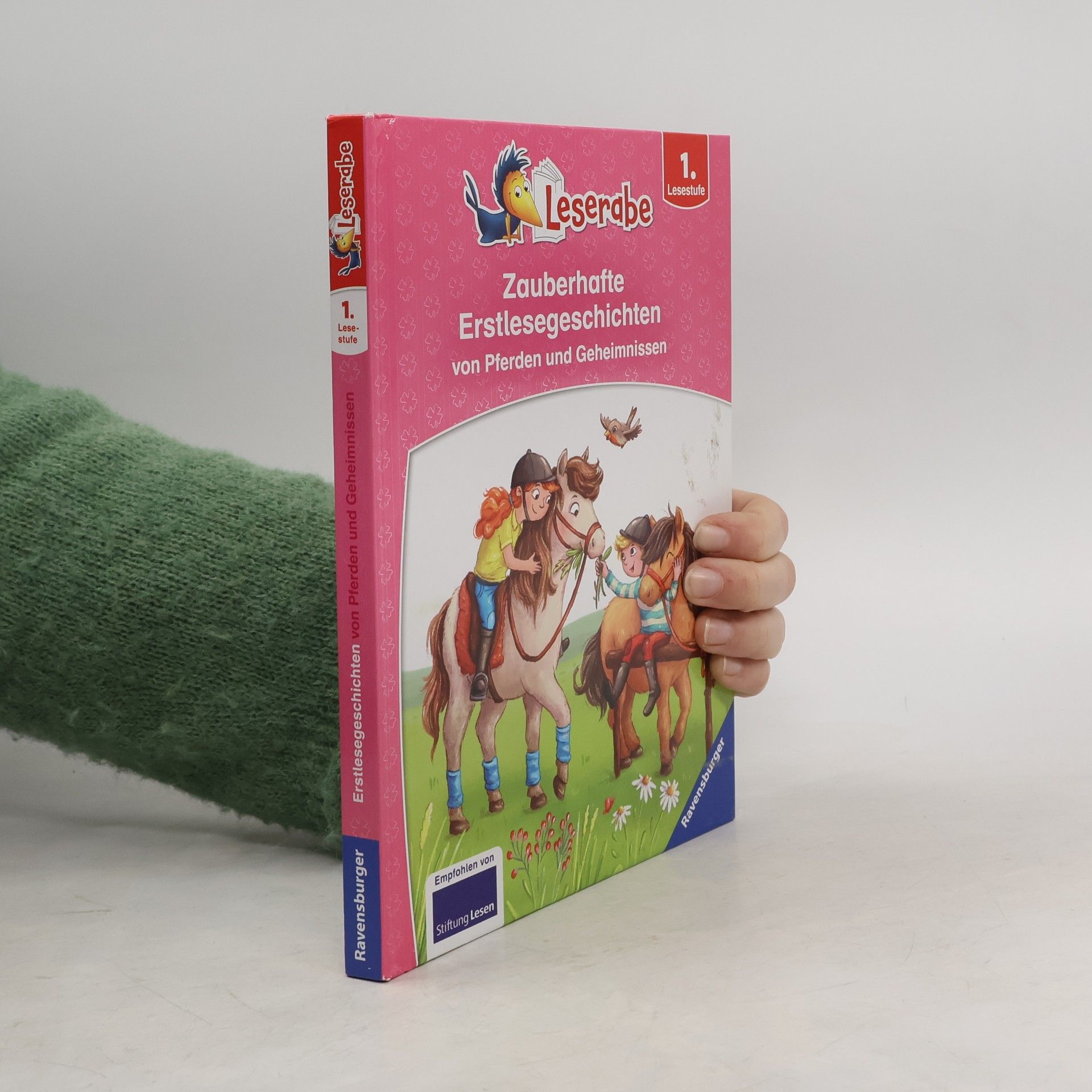Martin Lenz Zauberhafte Erstlesegeschichten von Pferden und Geheimnissen