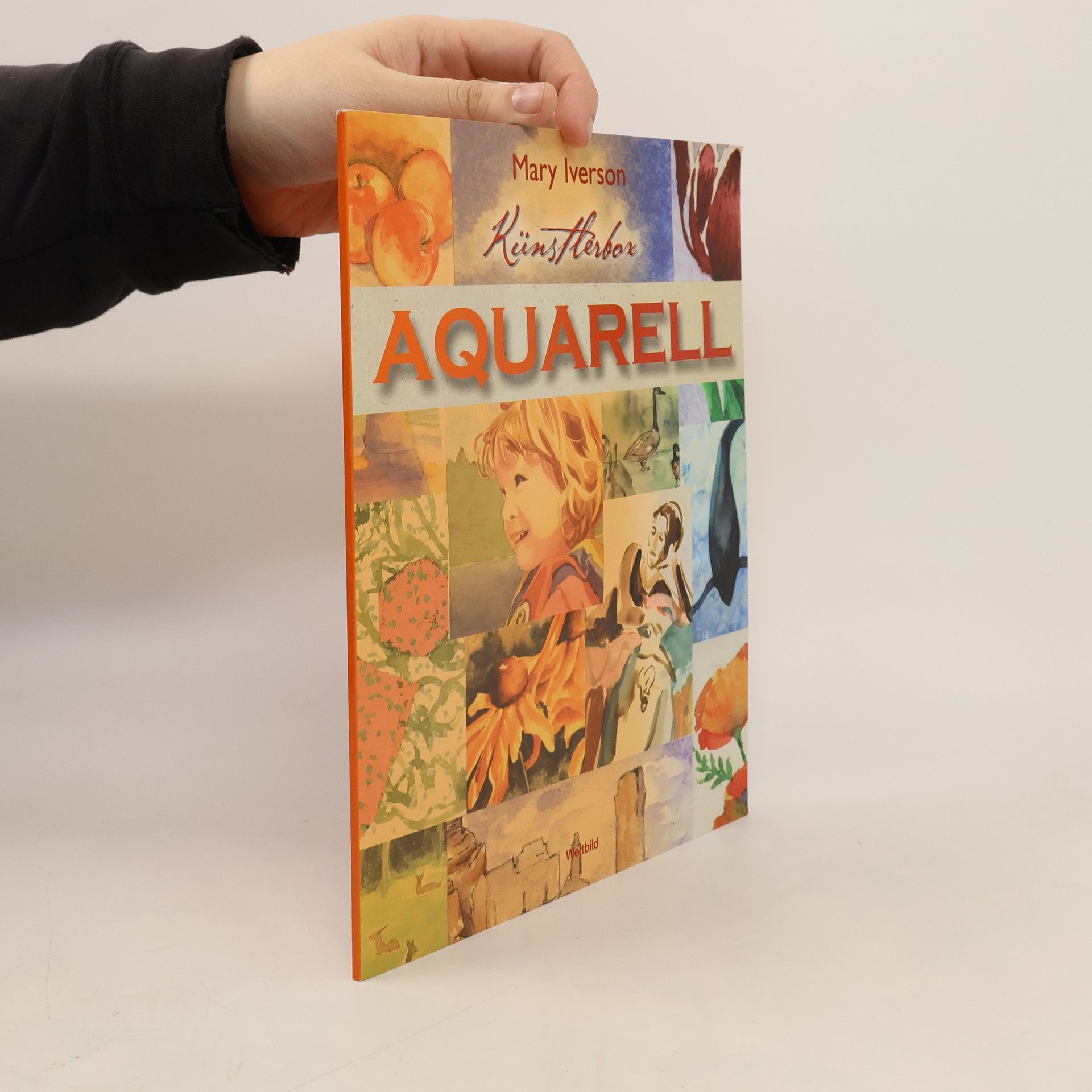 Mary Iverson Künstlerbox Aquarell