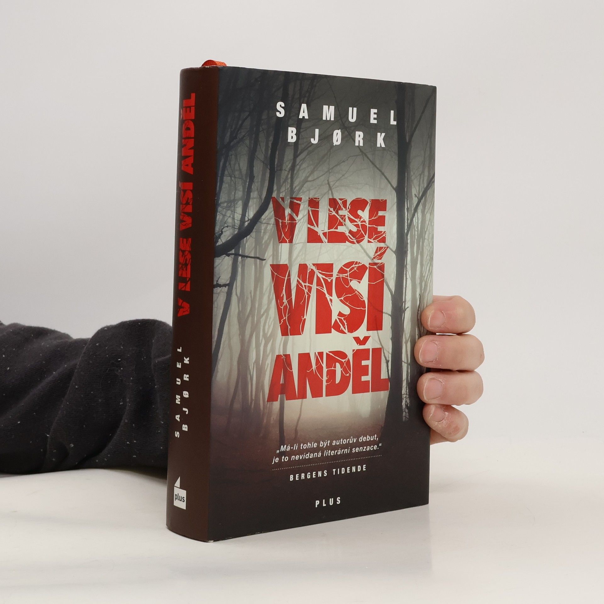 Samuel Bjork V lese visí anděl