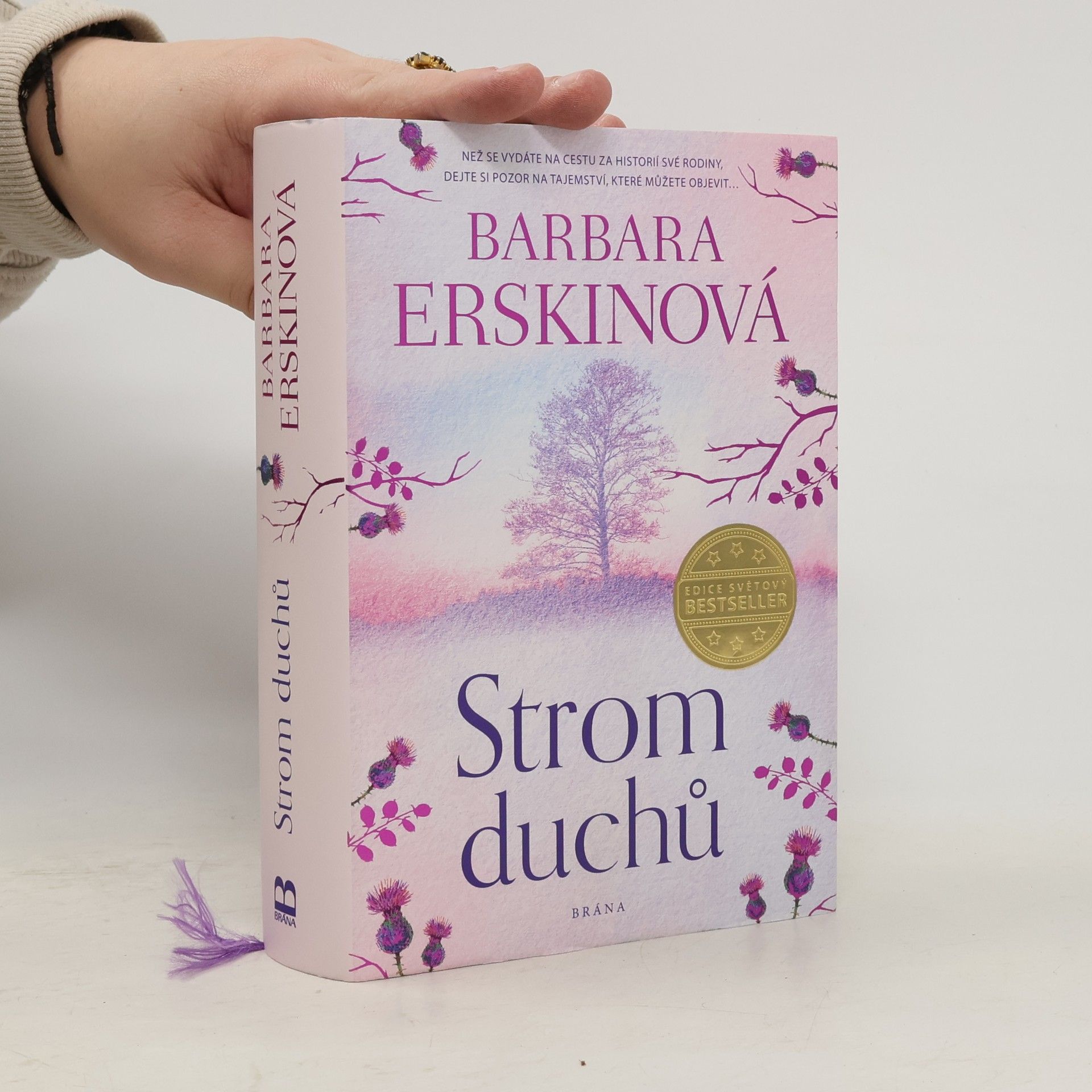 Barbara Erskine Strom duchů