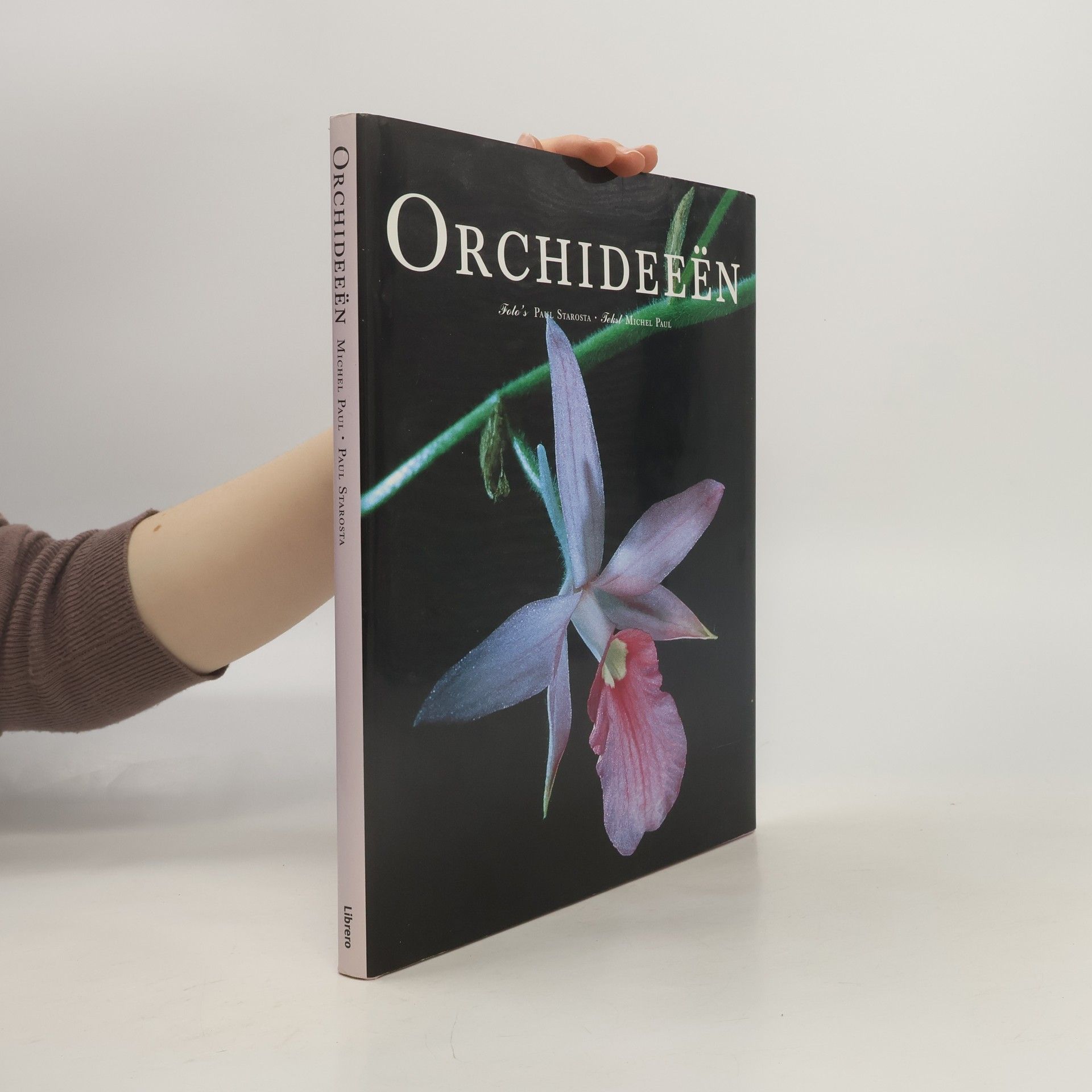 Michel Paul Orchideeën