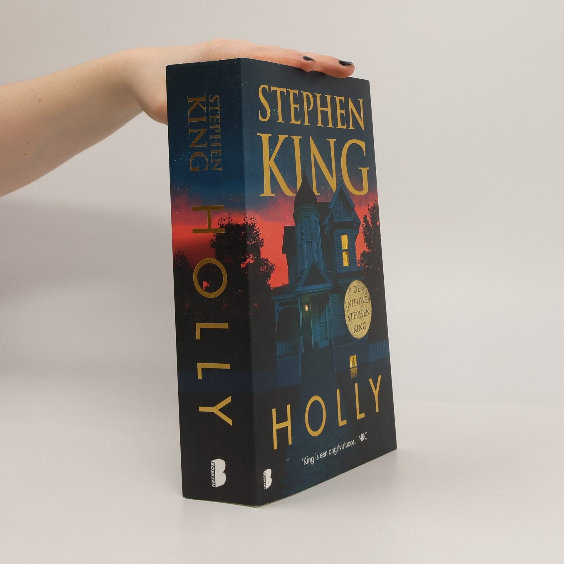 Stephen King Holly