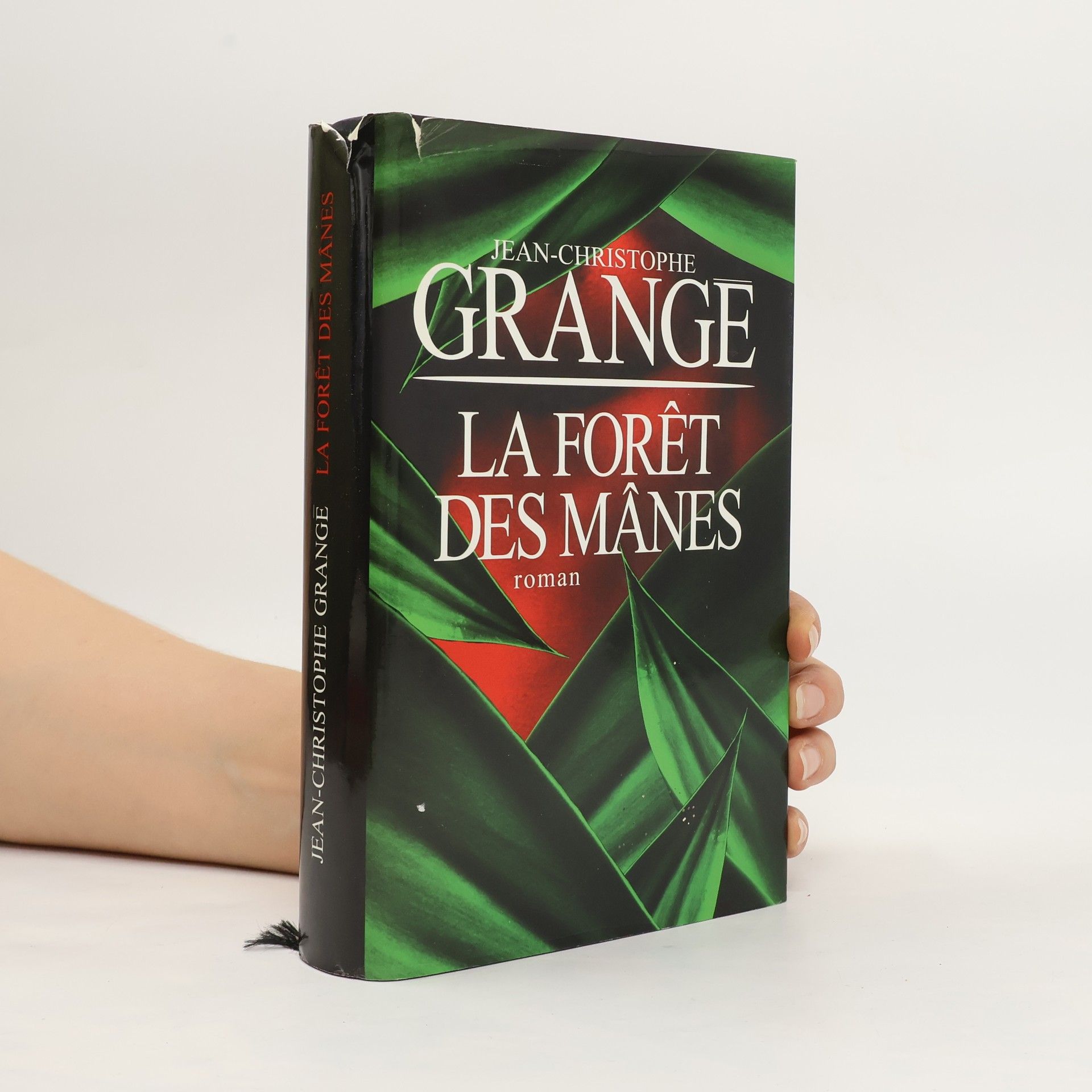 Jean Christophe Grangé La forêt des mânes