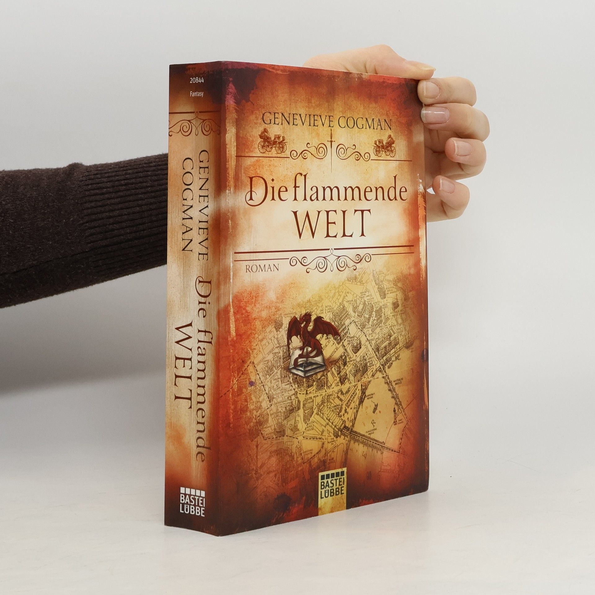 Genevieve Cogman Die flammende Welt