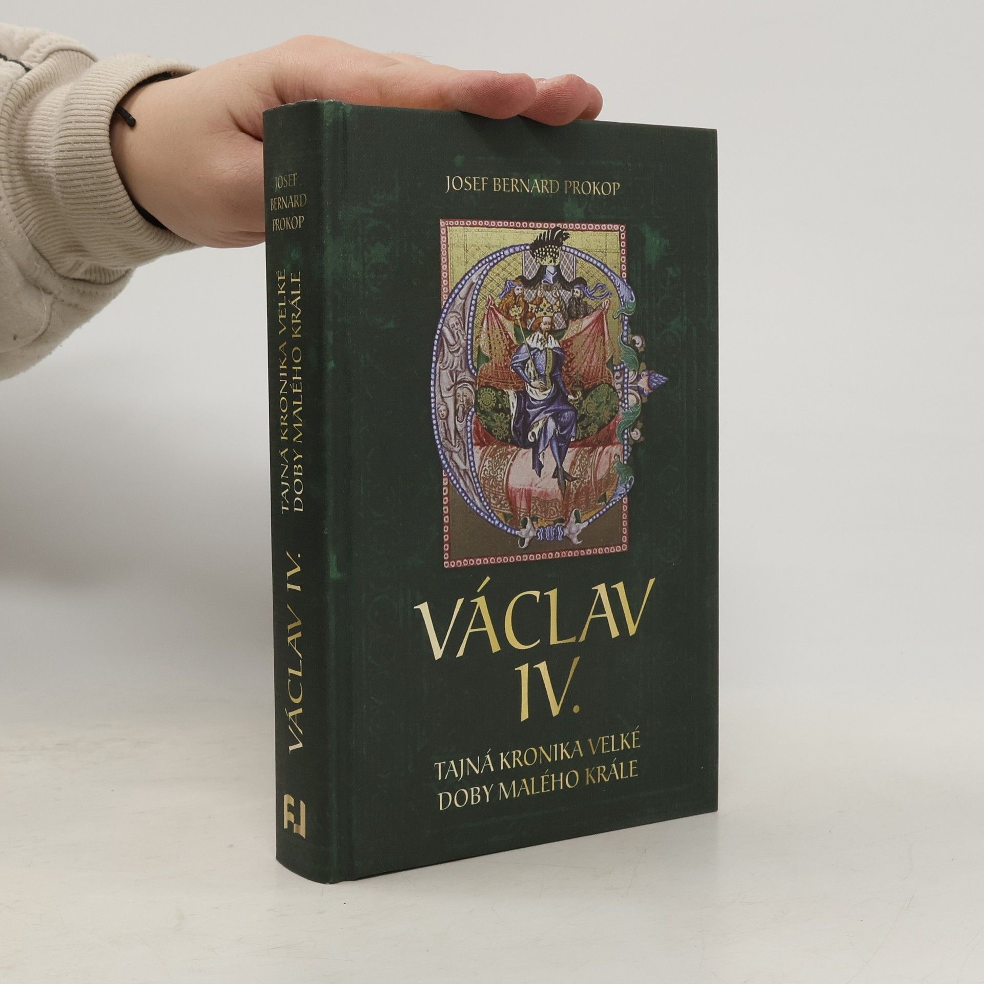 Václav IV. : tajná kronika velké doby malého krále