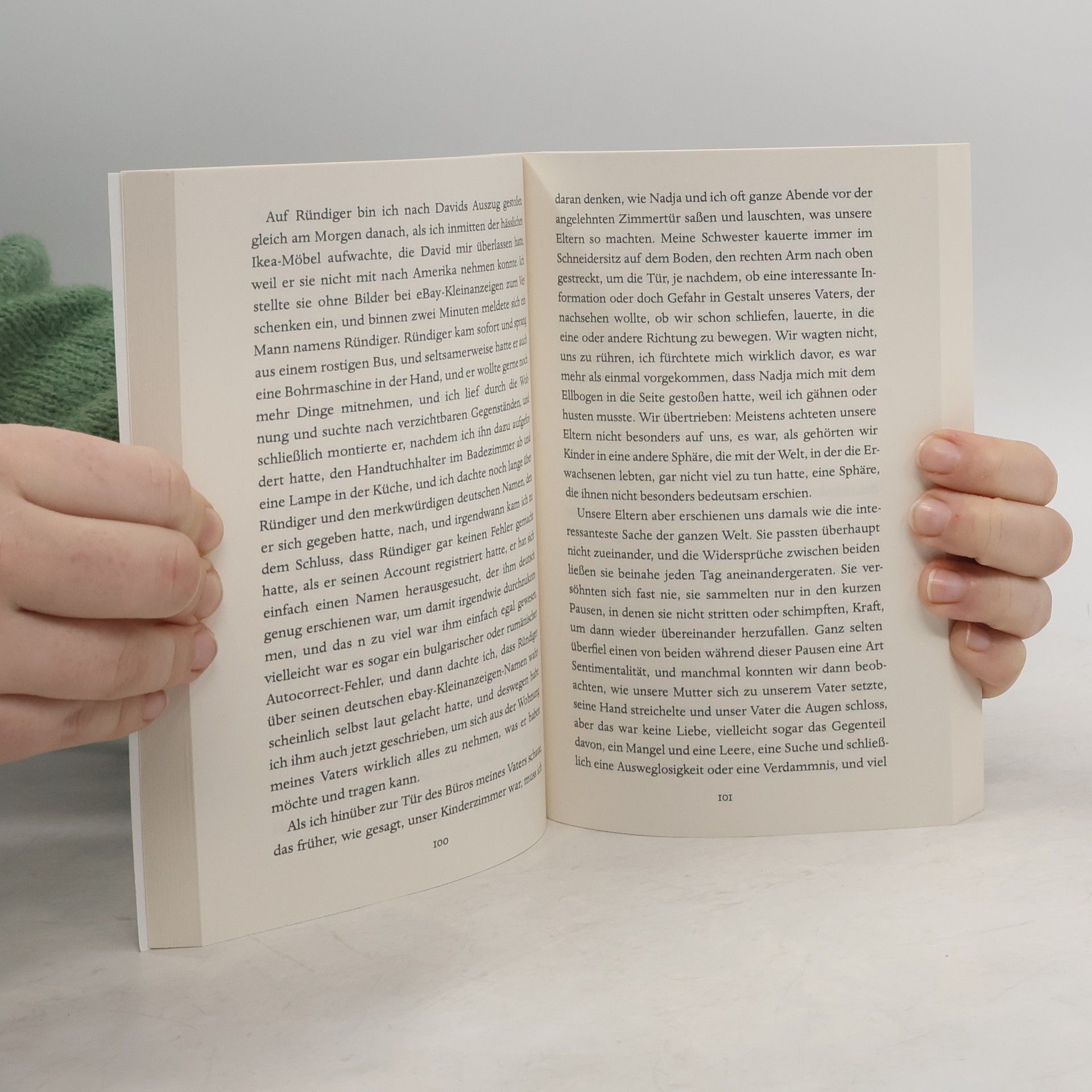 Hans-Egon Hass Ironie als literarisches Phänomen