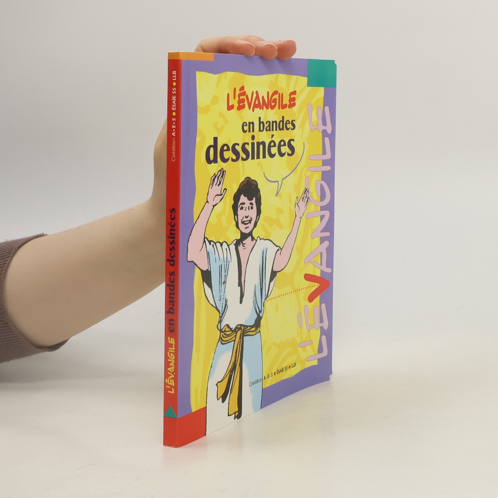 Auteurscollectief L'evangile en bandes dessinees