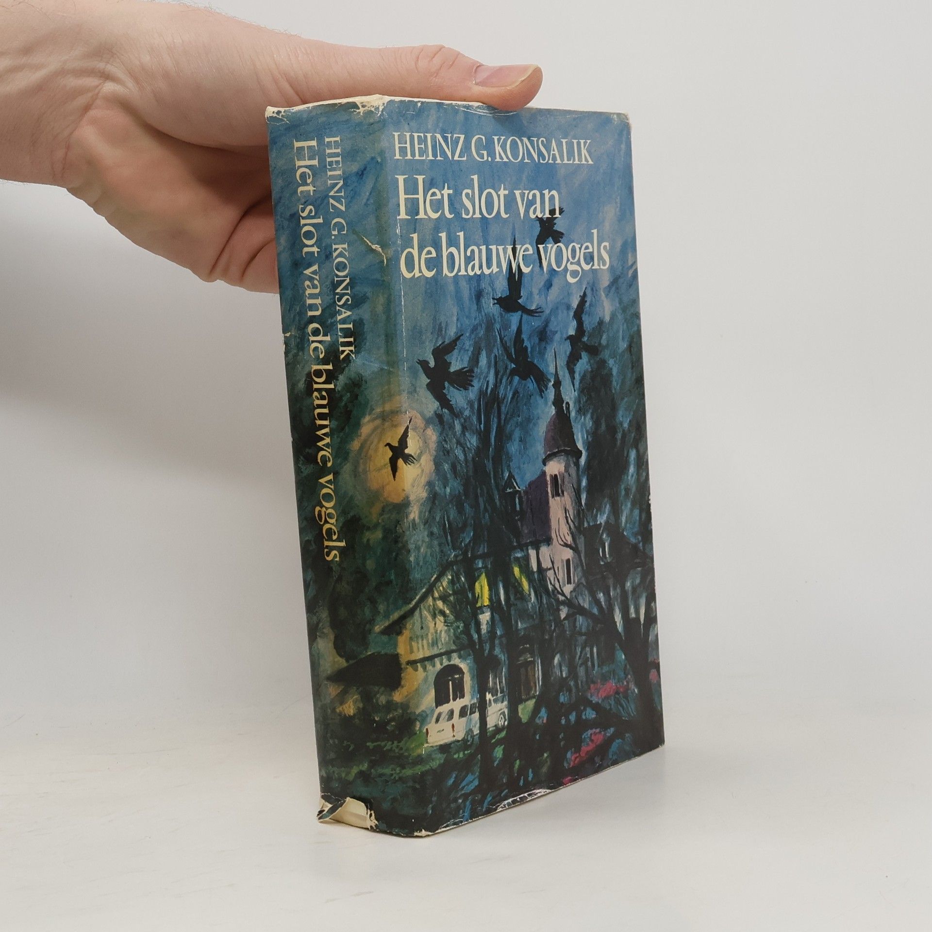 Pieter Grashoff Het slot van de blauwe vogels
