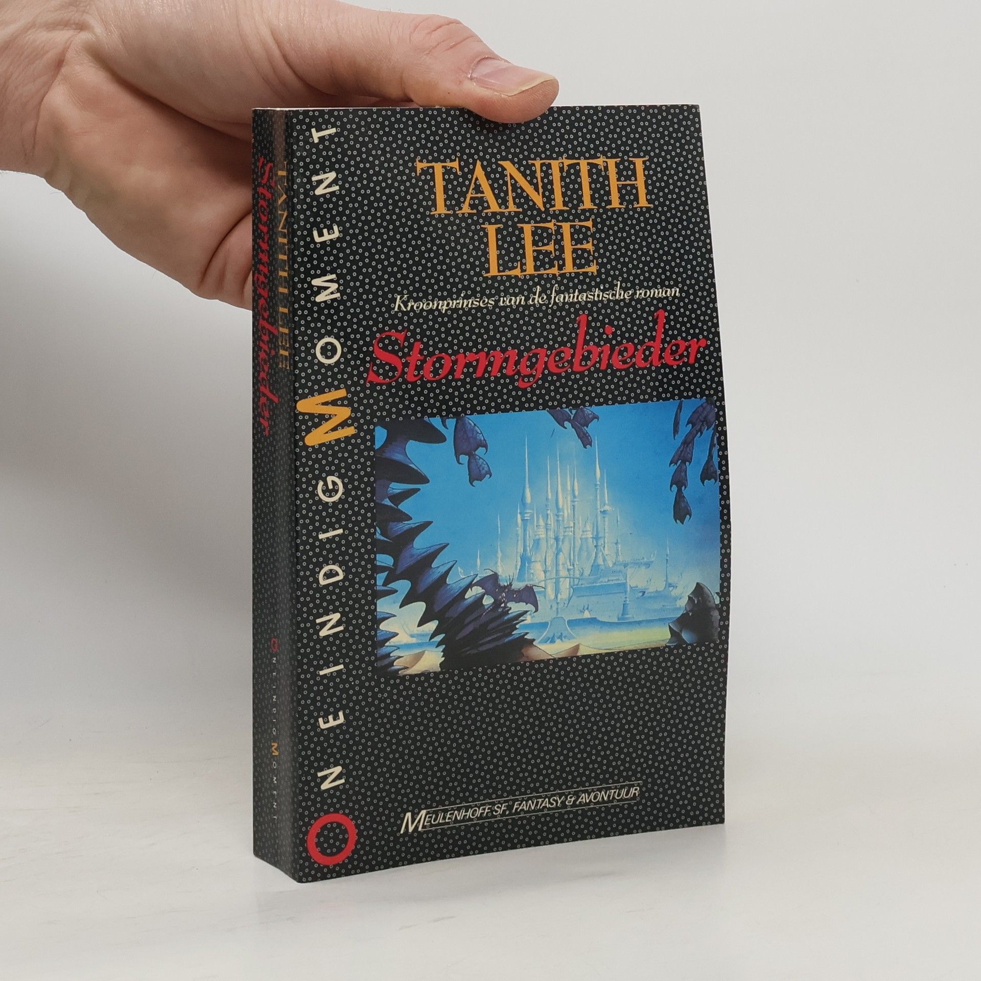 Tanith Lee Stormgebieder