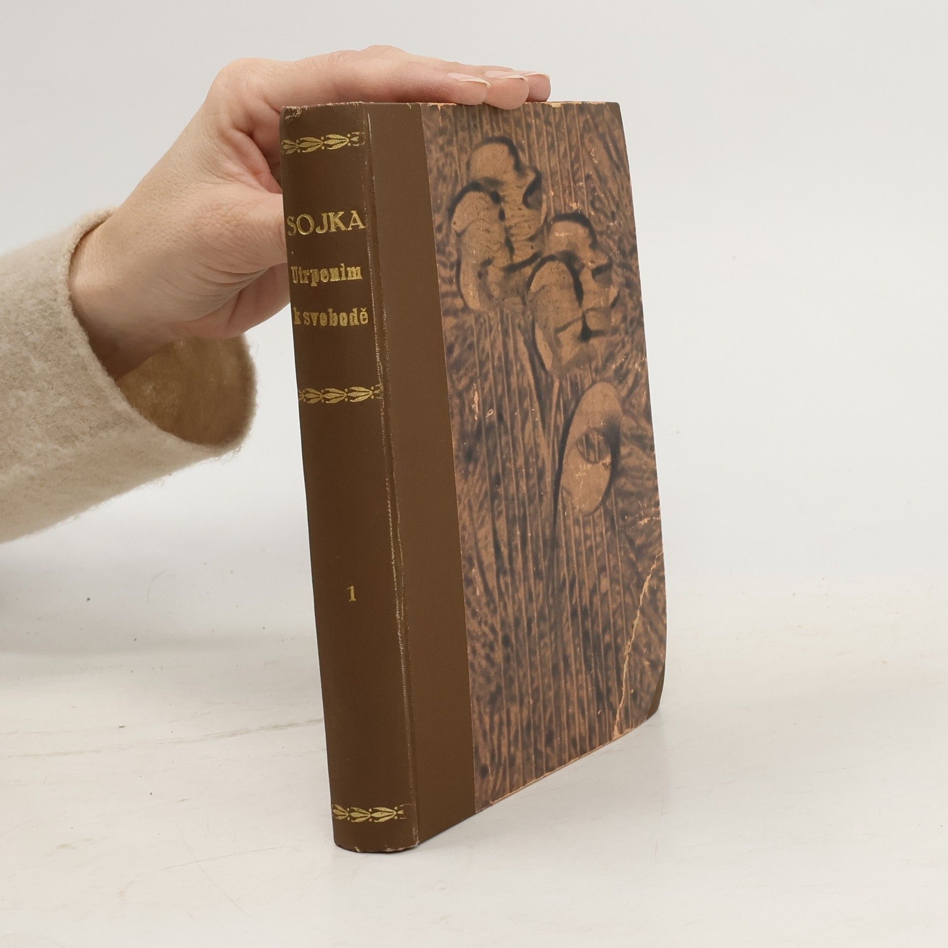 Utrpením k svobodě díl 1.