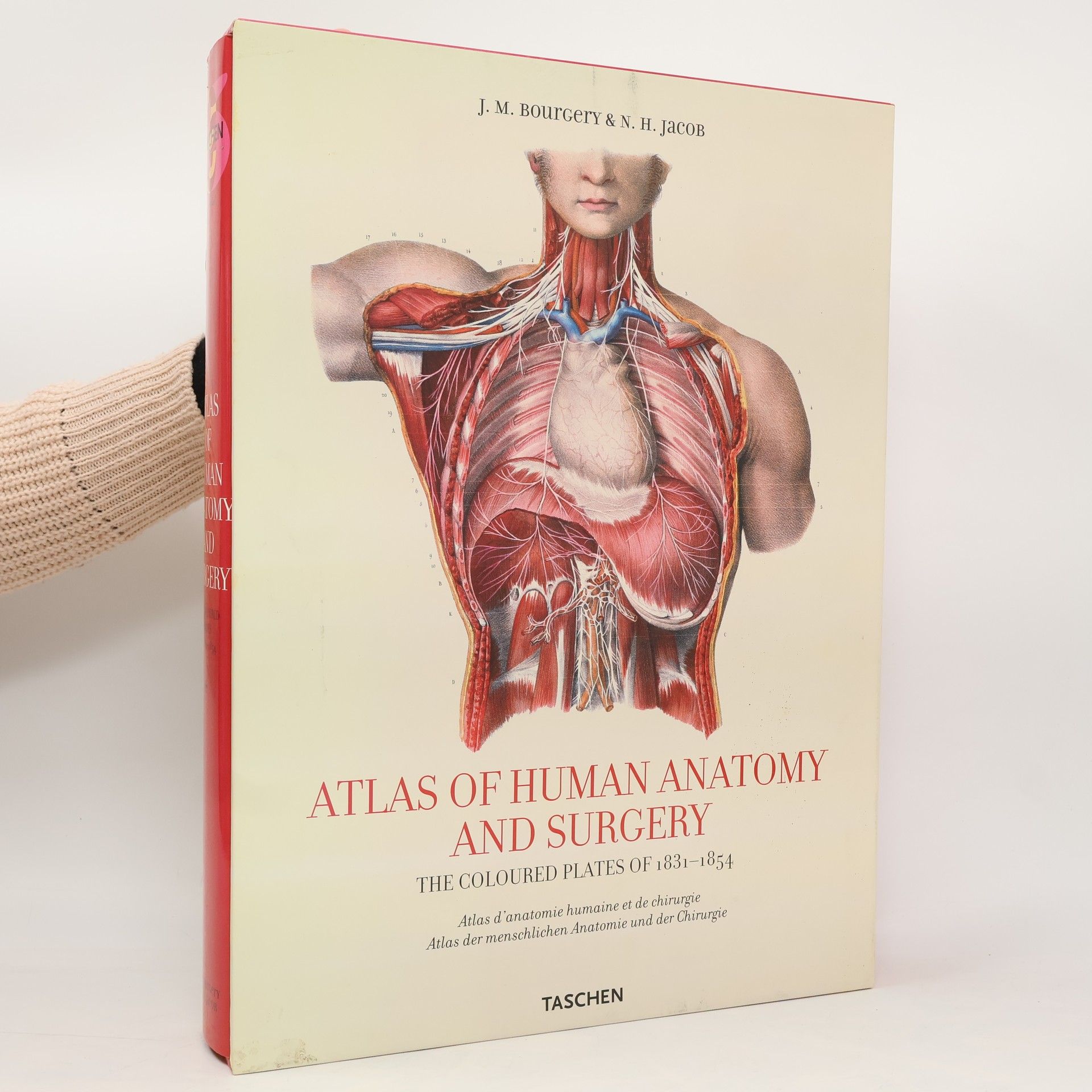 J. M. Bourgery Atlas of human anatomy and surgery