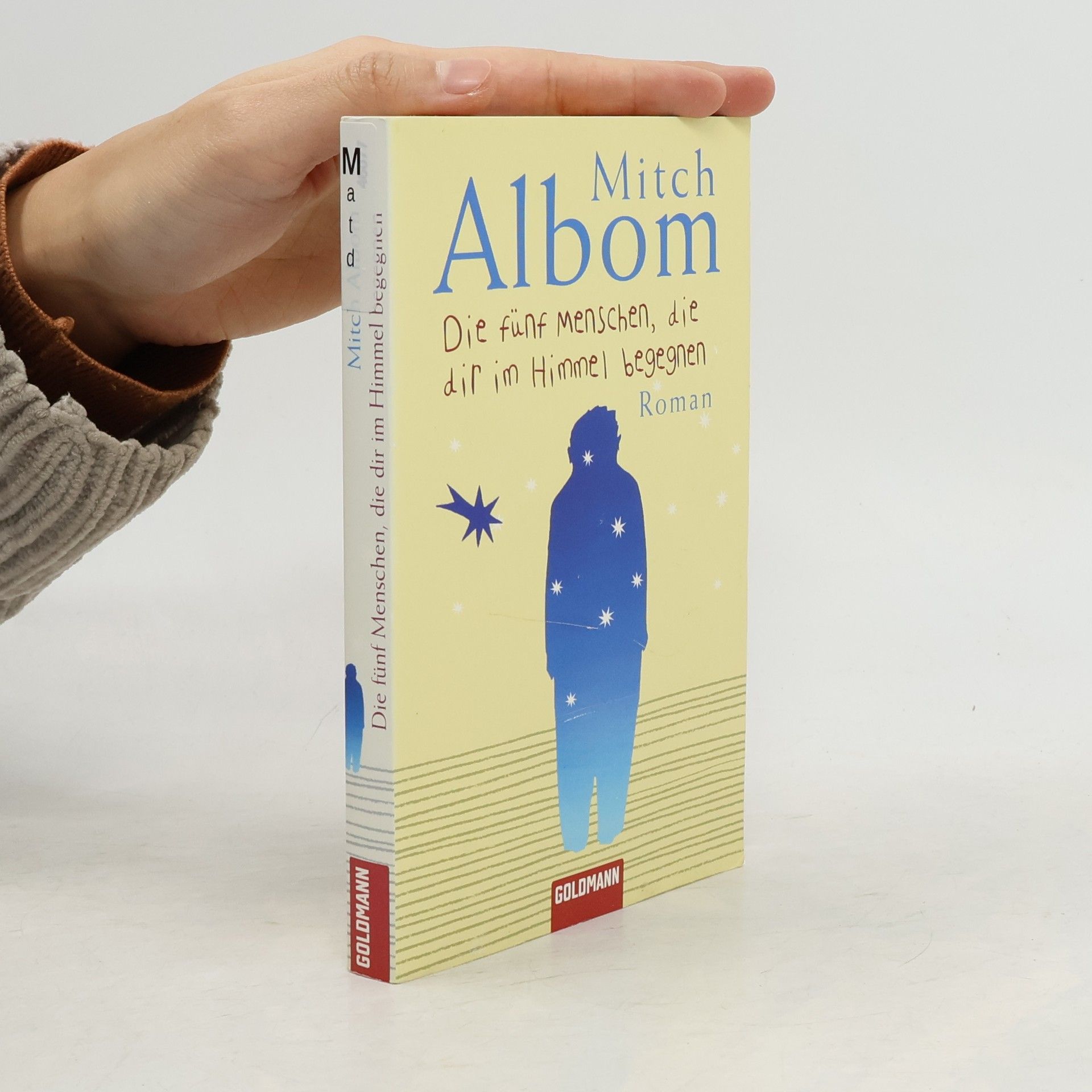 Mitch Albom Die fünf Menschen, die dir im Himmel begegnen