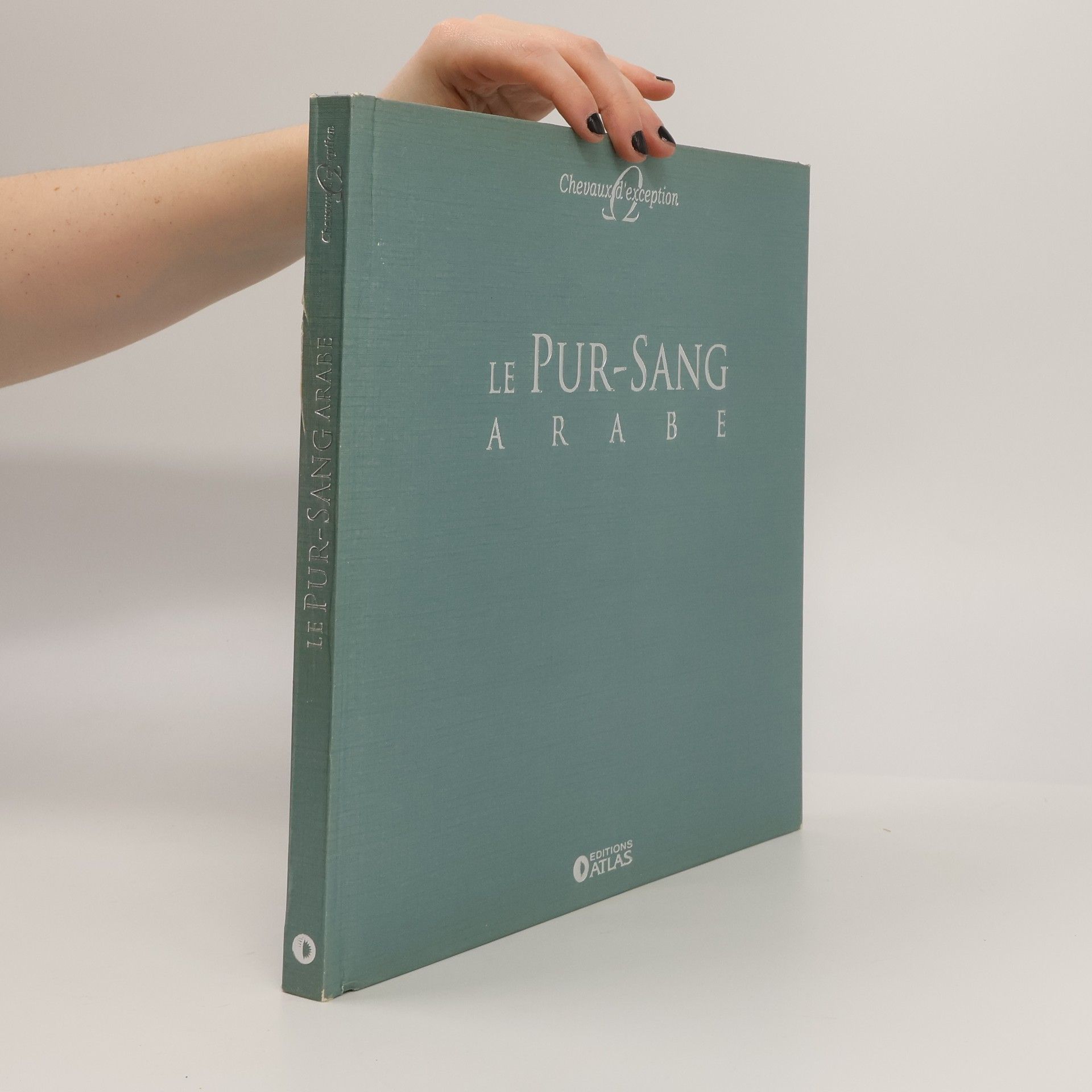 Agnès Galletier Le pur-sang arabe