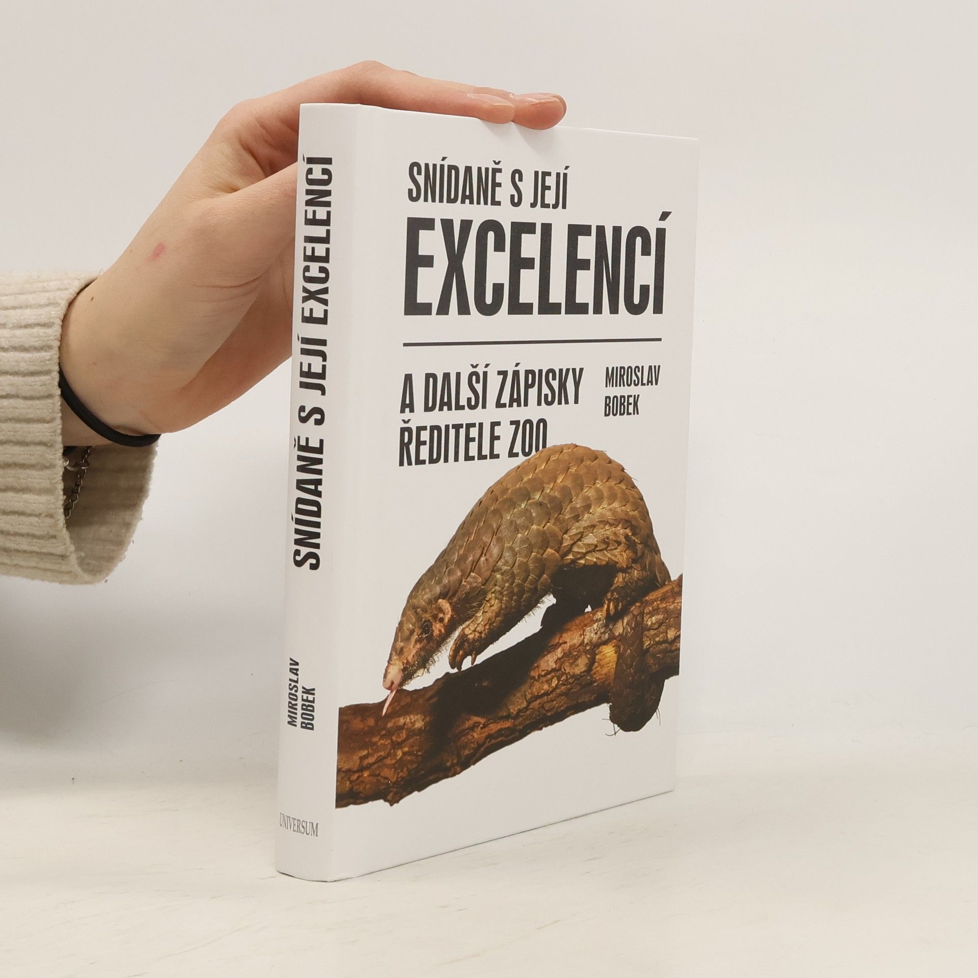 Miroslav Bobek Snídaně s její excelencí