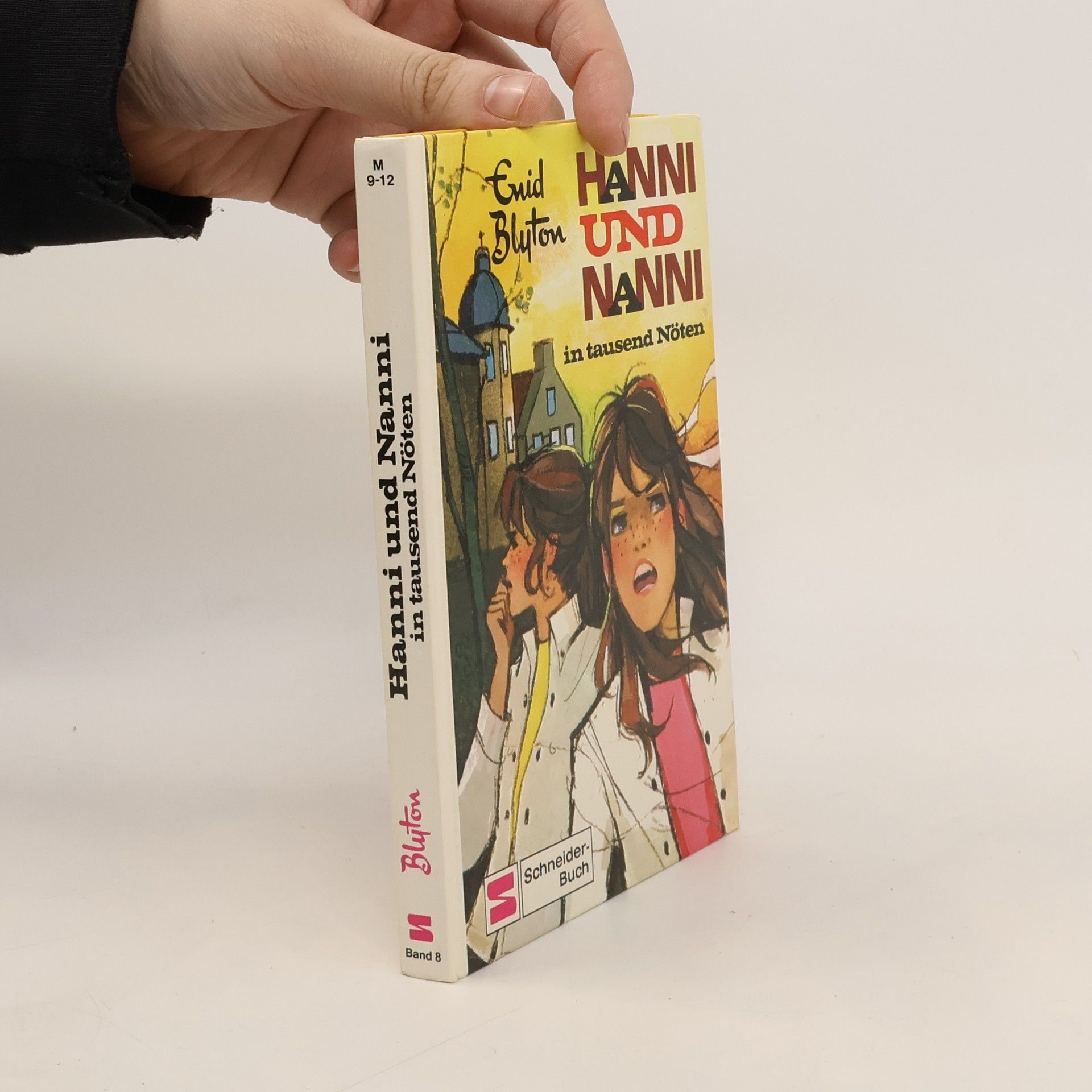 Enid Blyton Hanni und Nanni in tausend Nöten