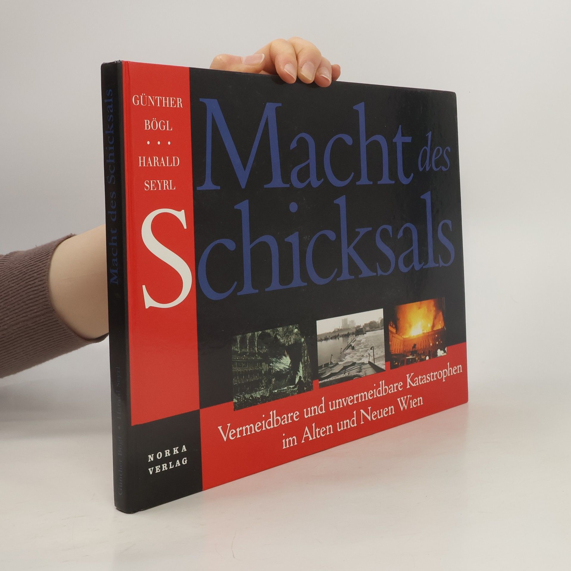 Günther Bögl Macht des Schicksals